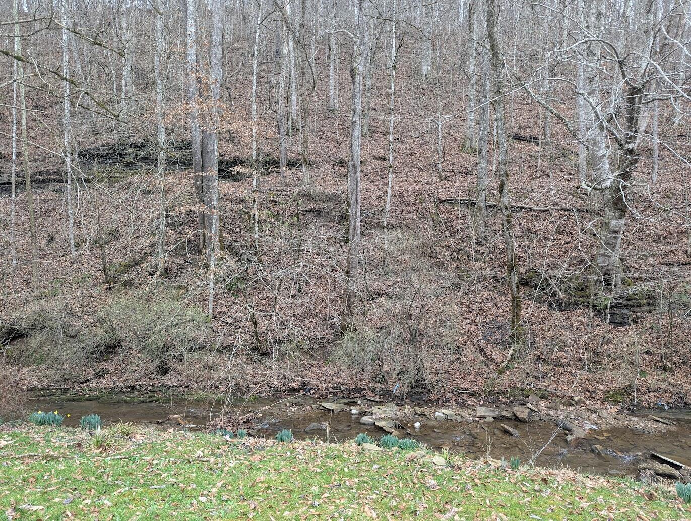 456 Arnetts Fork Road Property Photo 3