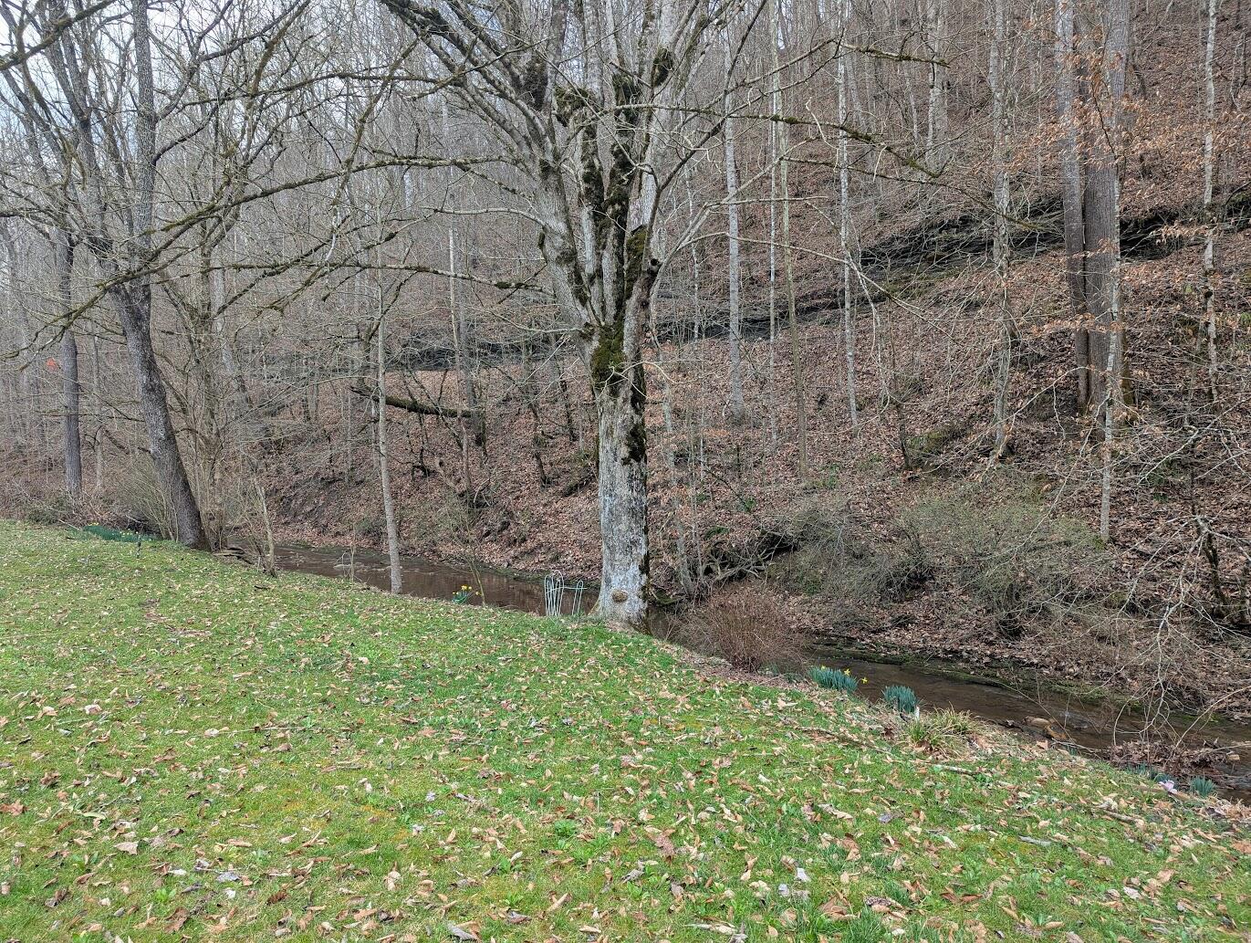 456 Arnetts Fork Road Property Photo 4
