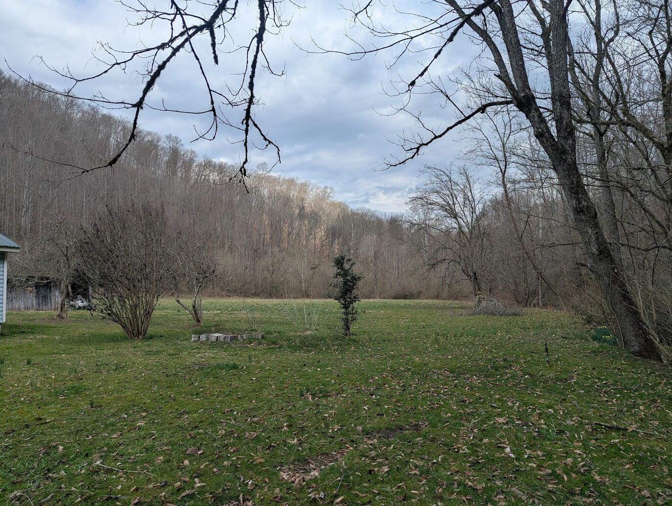456 Arnetts Fork Road Property Photo 5