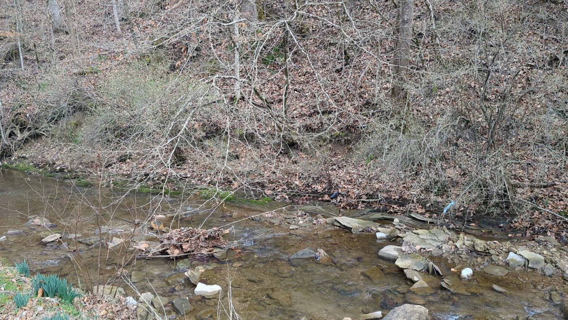 456 Arnetts Fork Road Property Photo 6