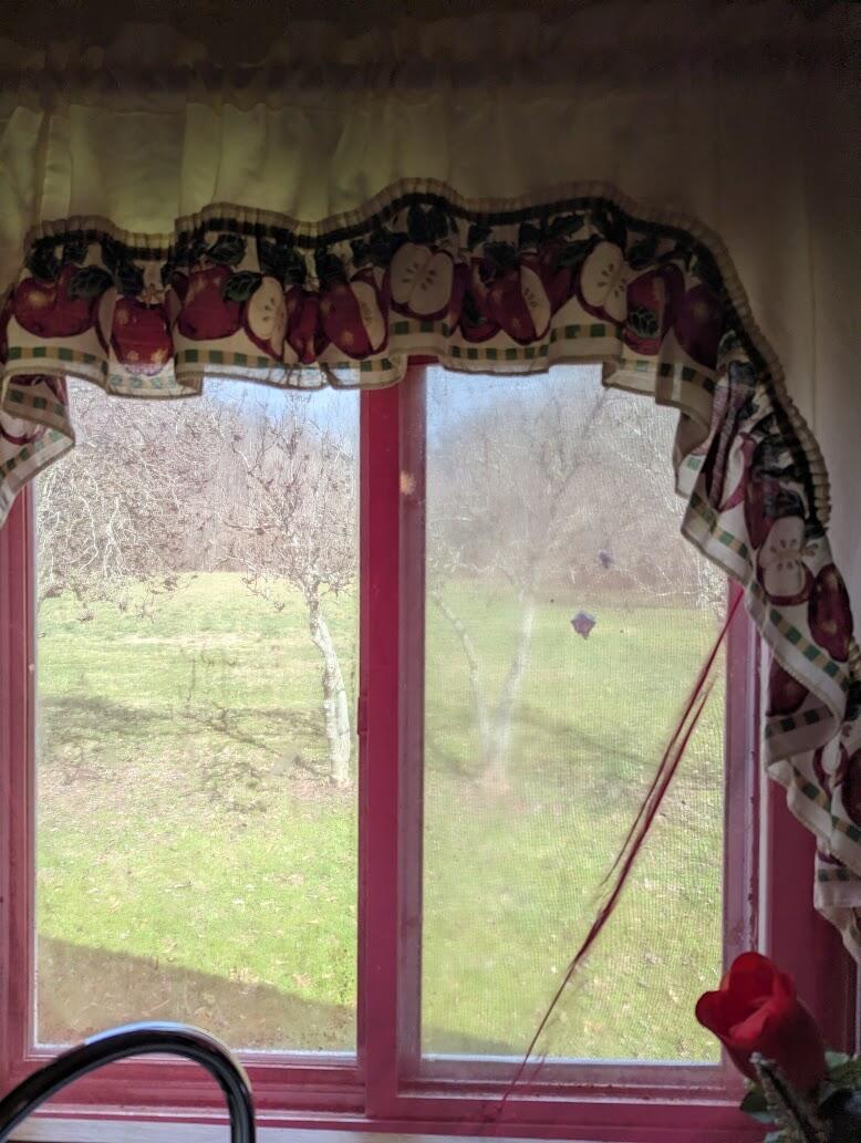 456 Arnetts Fork Road Property Photo 17