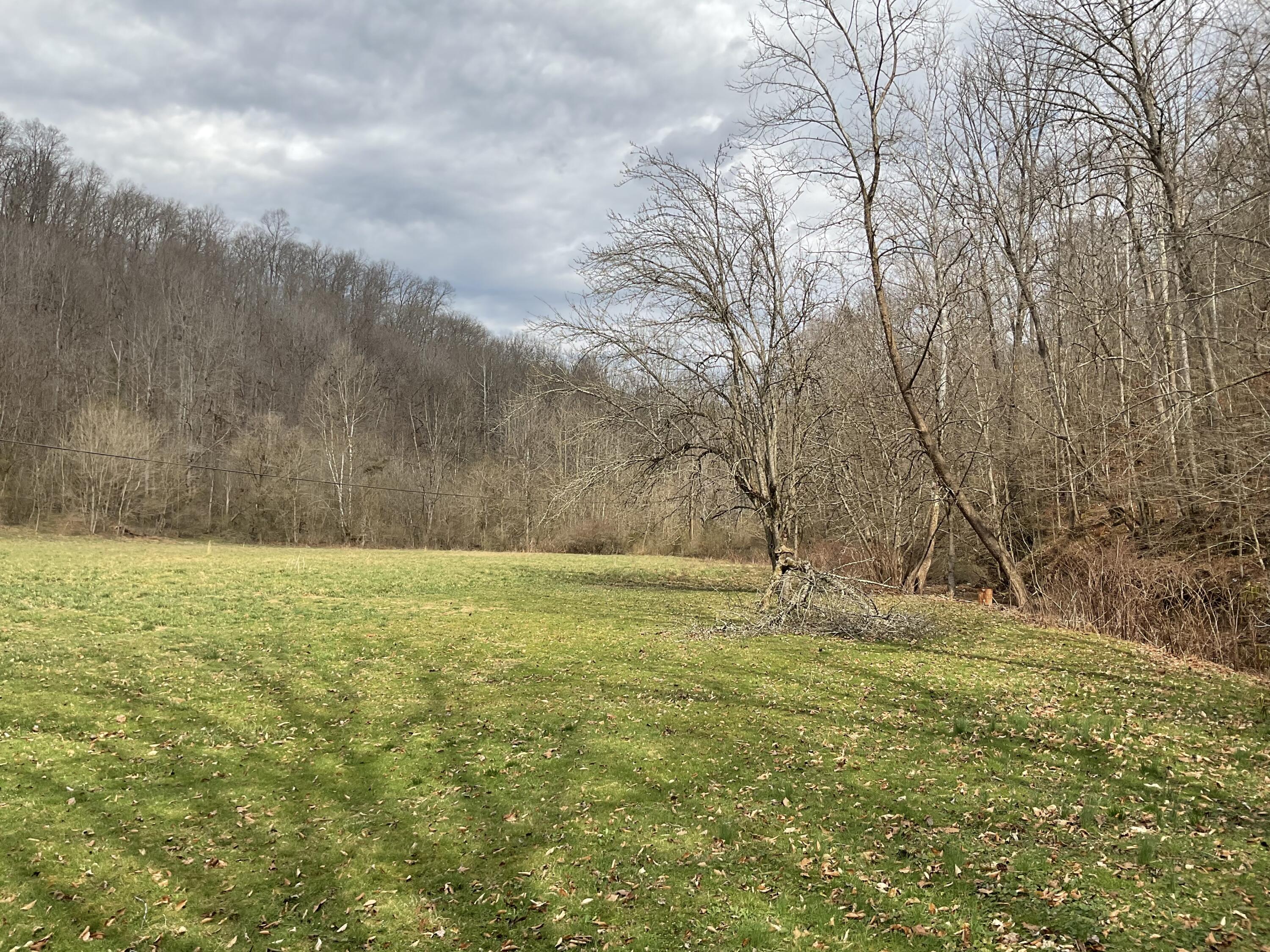 456 Arnetts Fork Road Property Photo 19