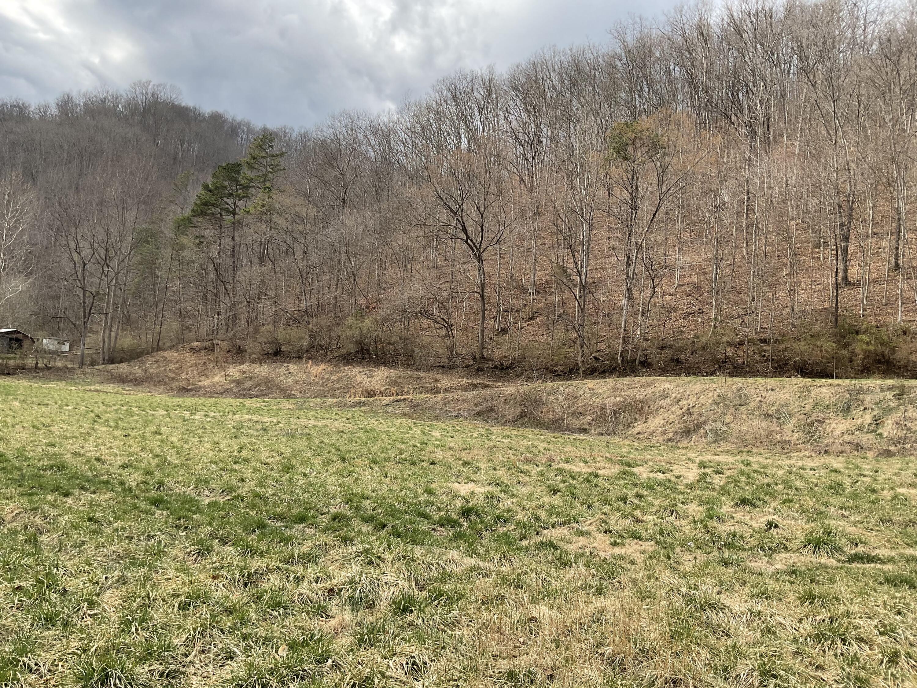 456 Arnetts Fork Road Property Photo 28
