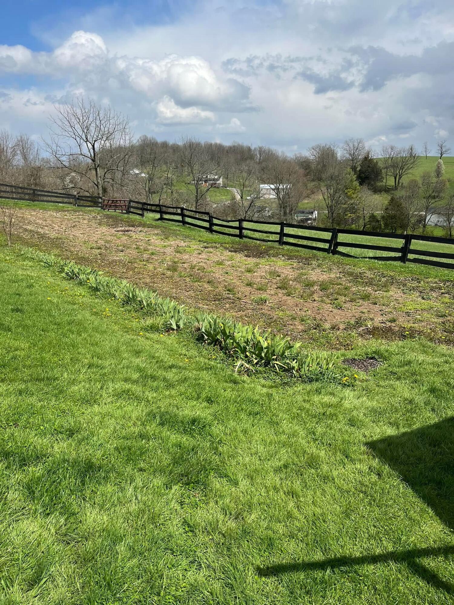 8377 Stonelick Road Property Photo 4