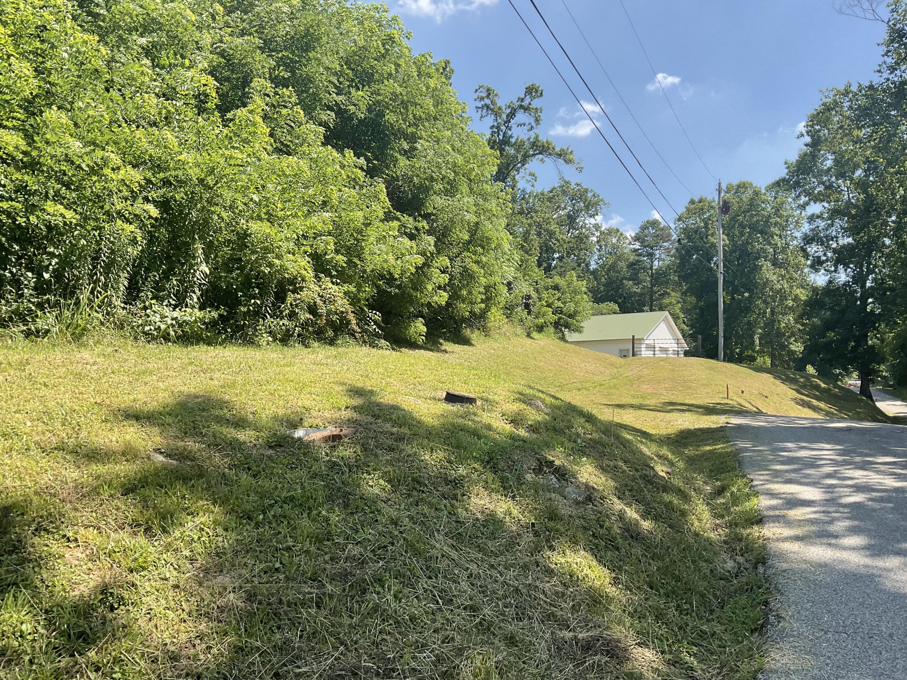 61 Blevins Hollow Property Photo 4