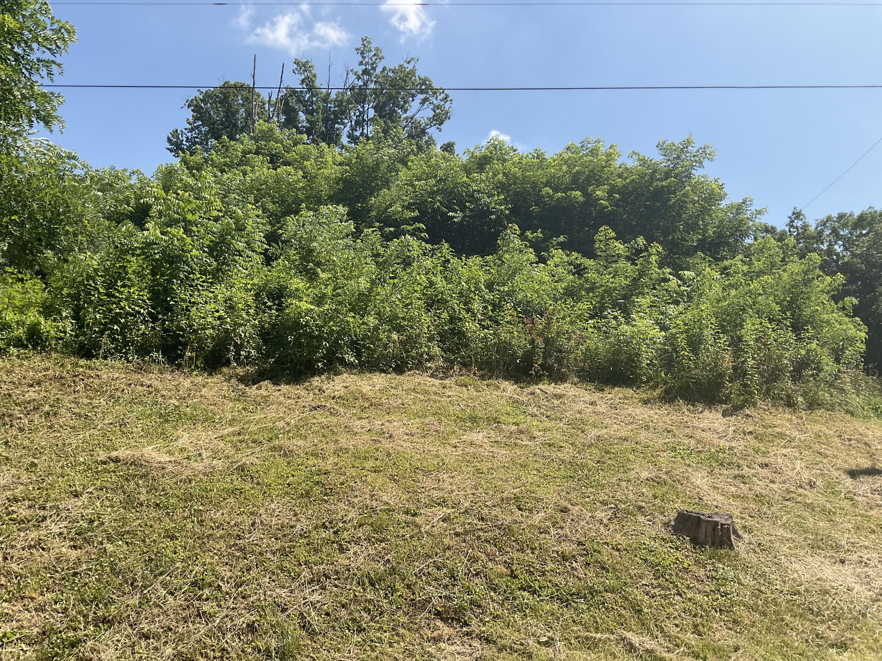 61 Blevins Hollow Property Photo 5