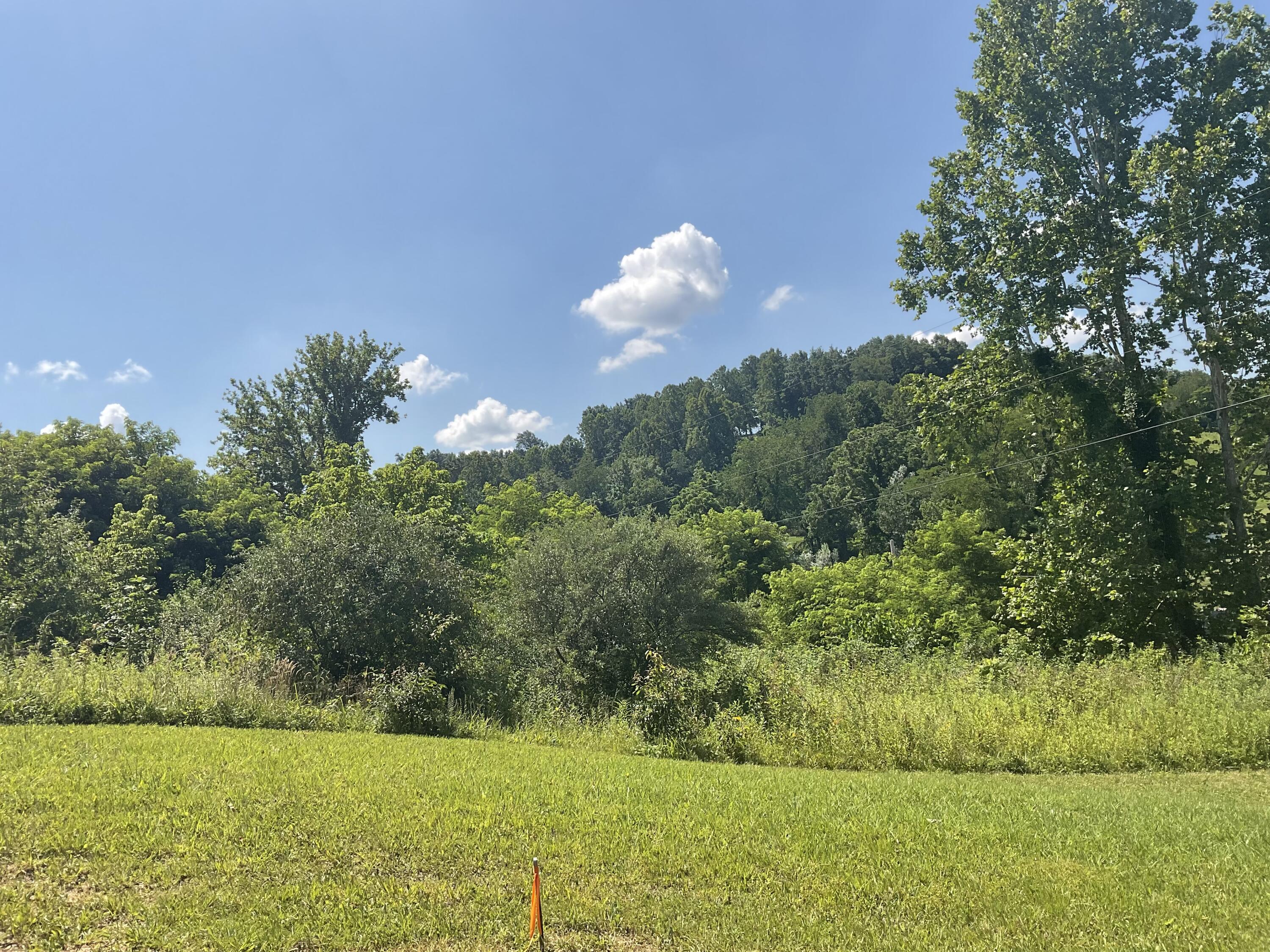 61 Blevins Hollow Property Photo 6
