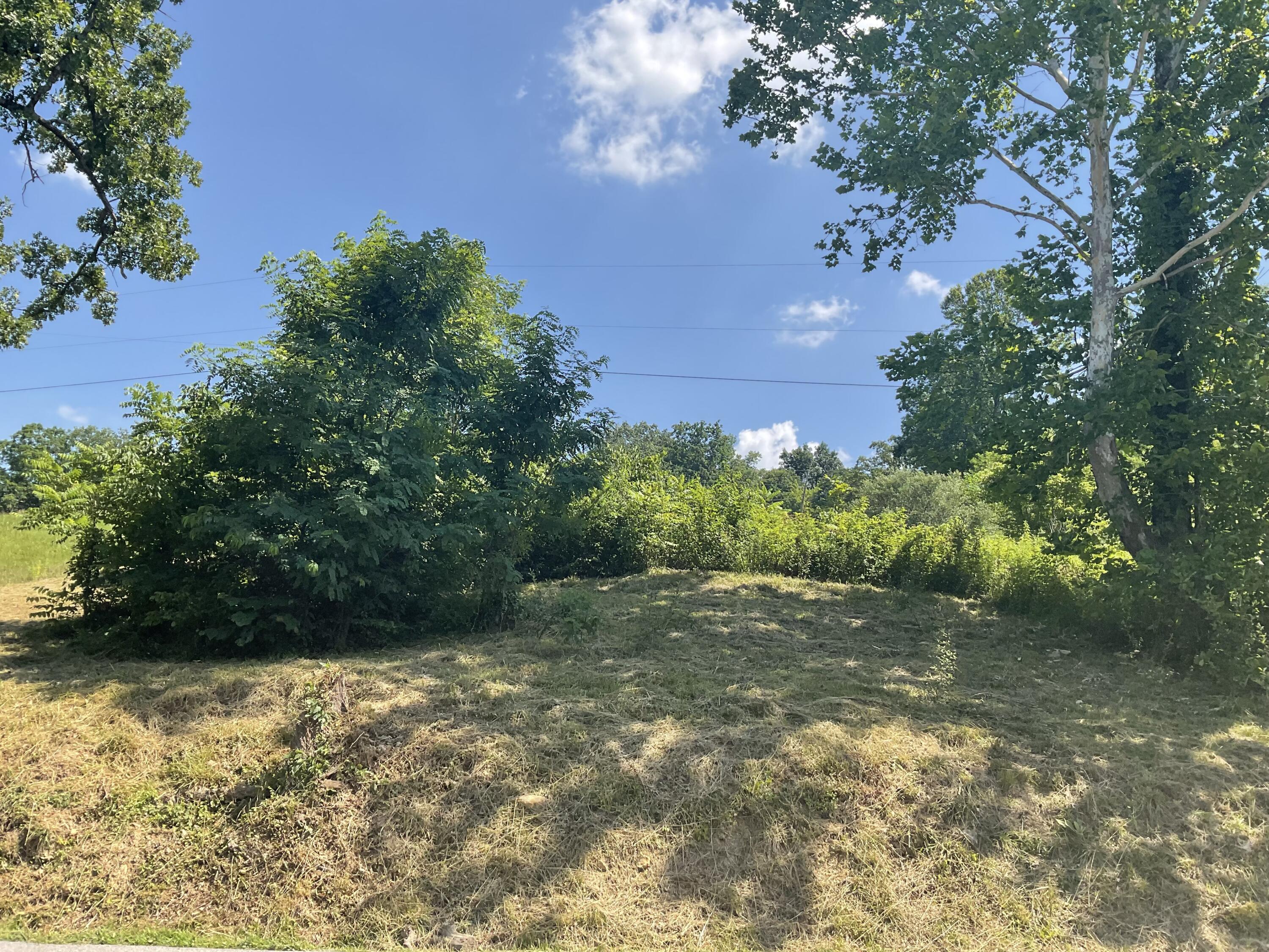 61 Blevins Hollow Property Photo 8