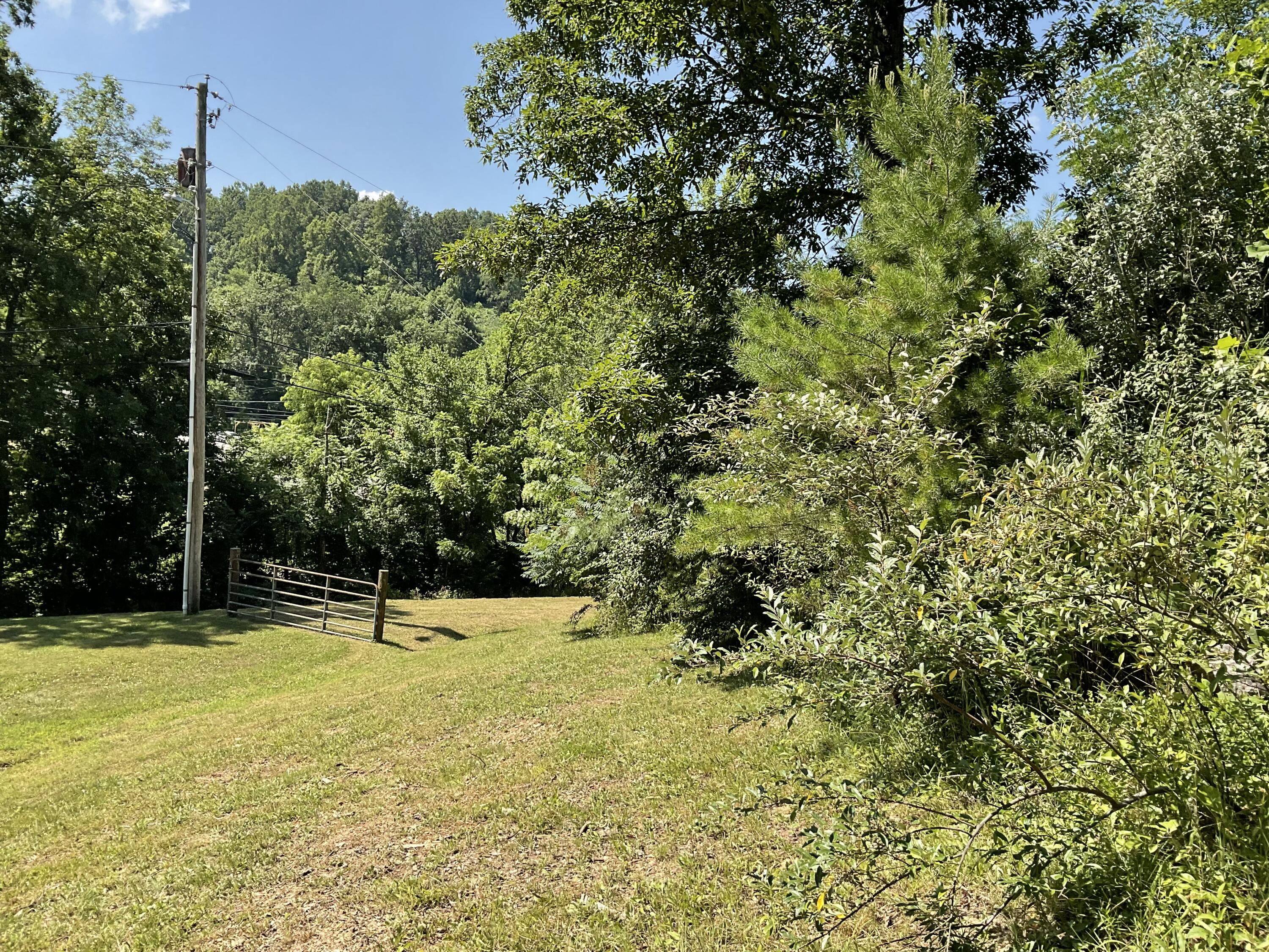 61 Blevins Hollow Property Photo 11