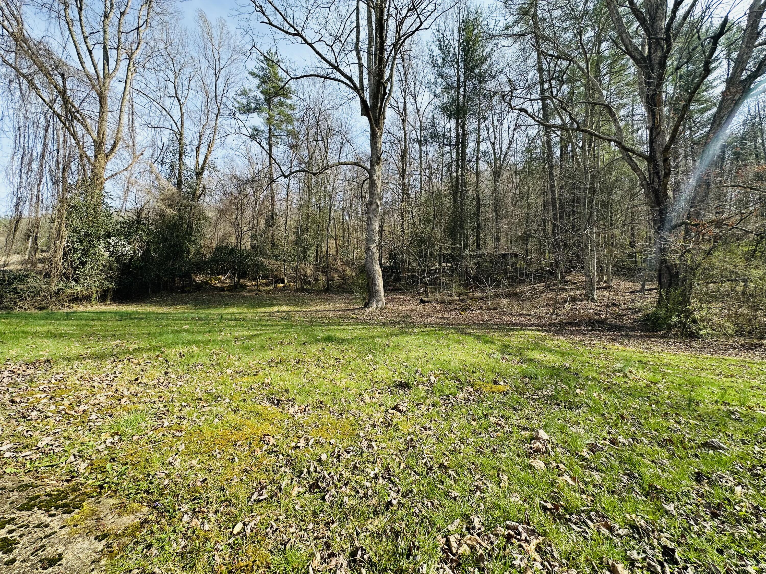212 Town Branch Road Property Photo 6