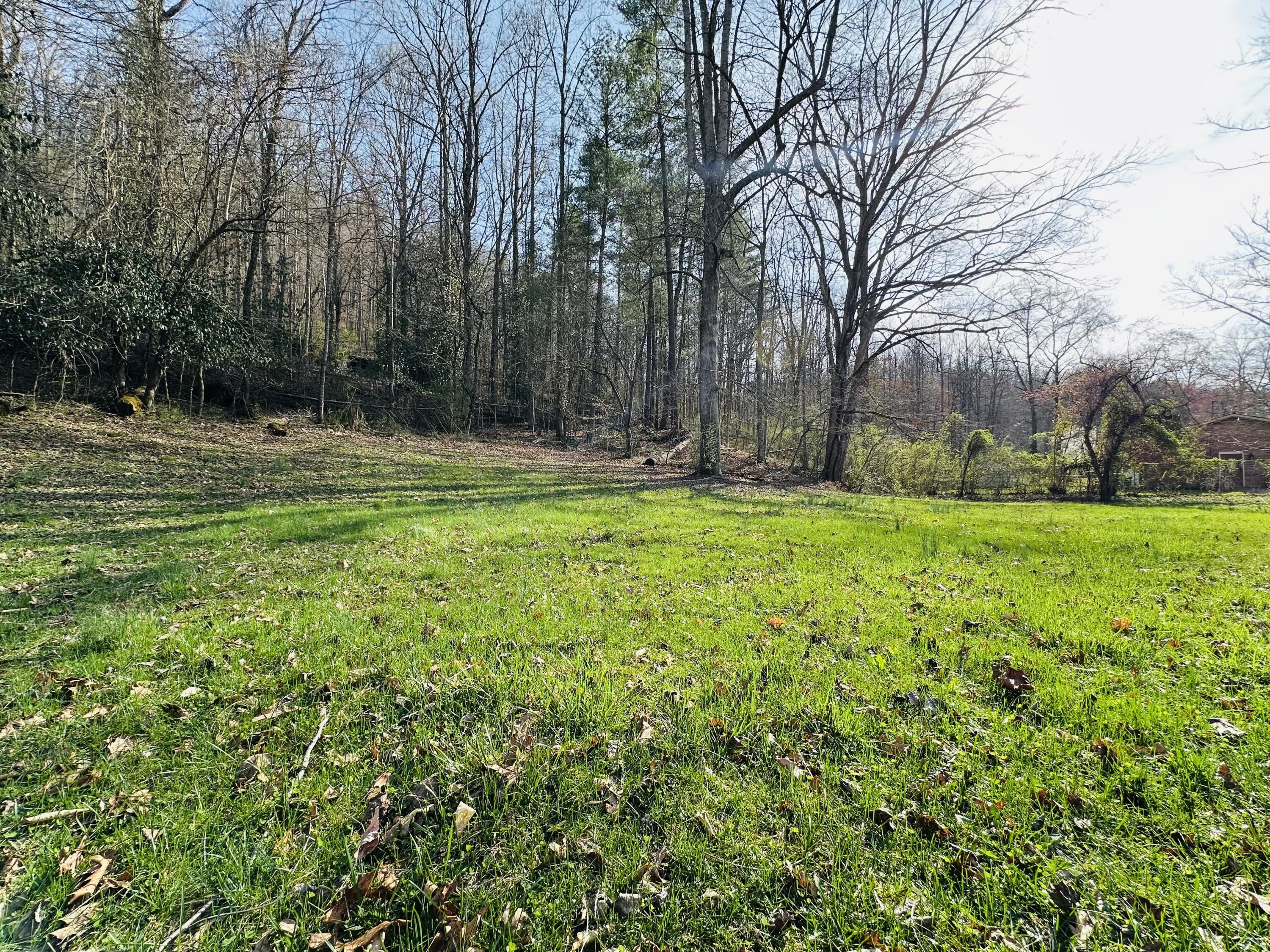 212 Town Branch Road Property Photo 7
