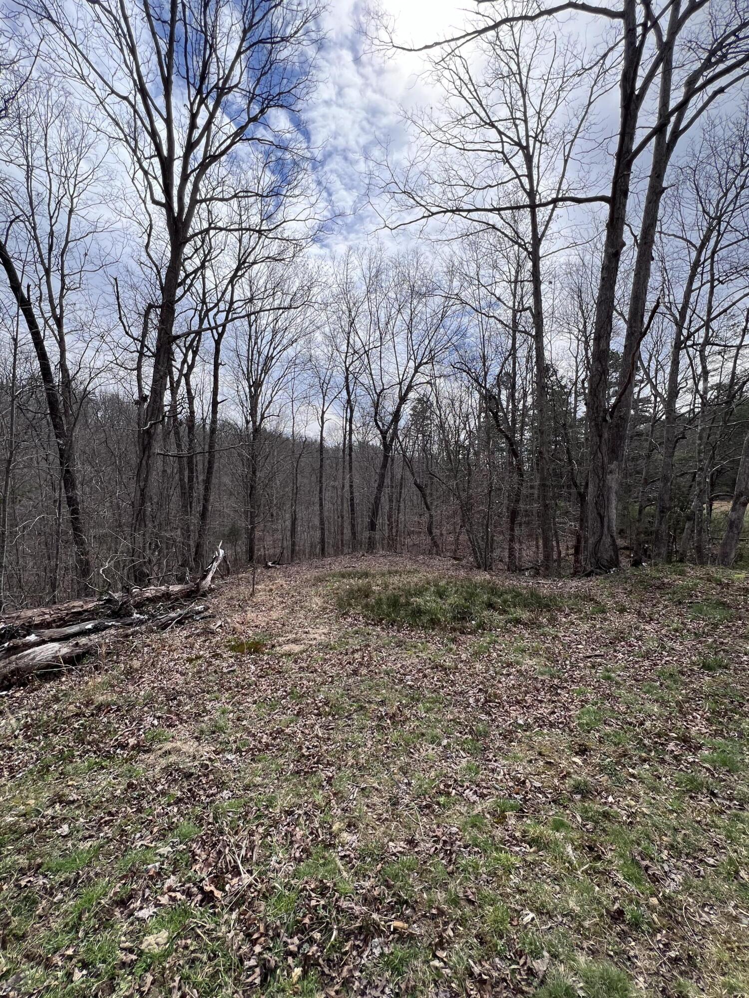 12195 Hwy 587 Property Photo 62