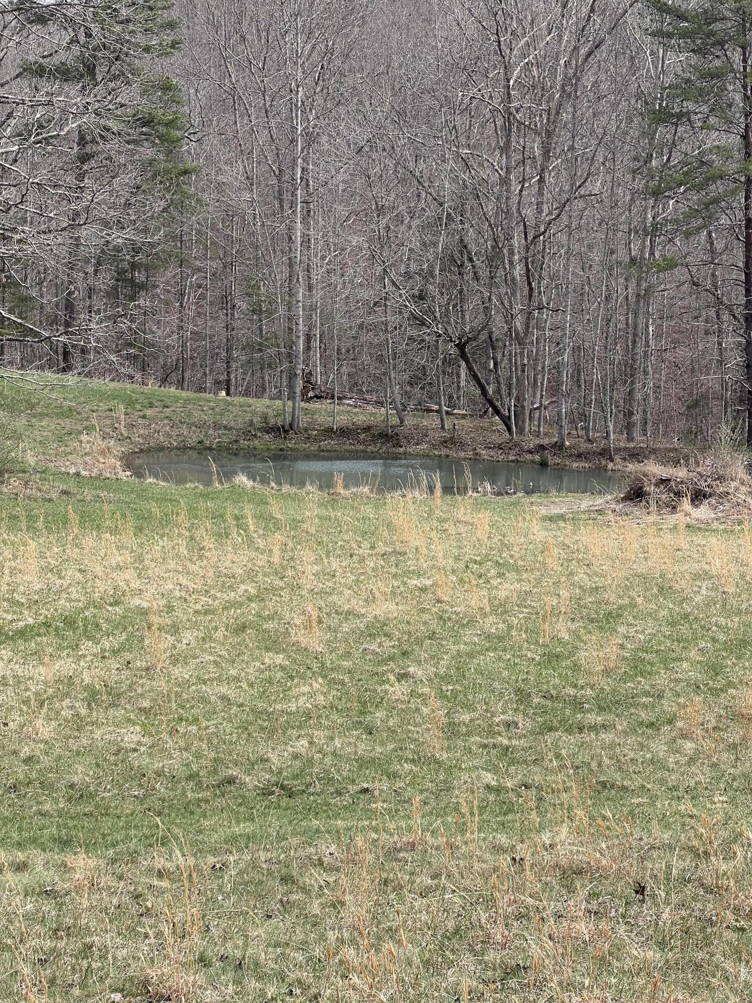 12195 Hwy 587 Property Photo 64