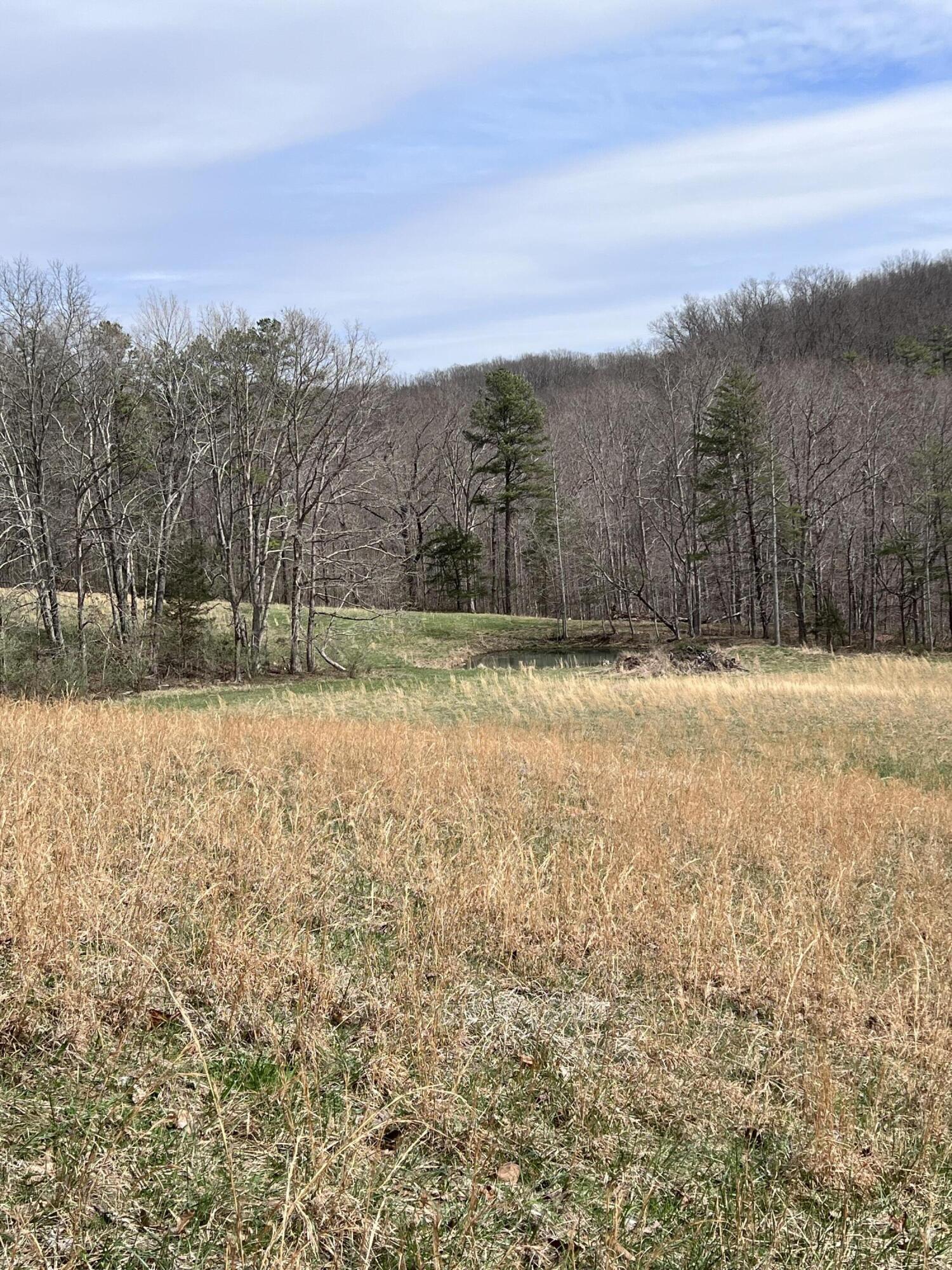 12195 Hwy 587 Property Photo 65