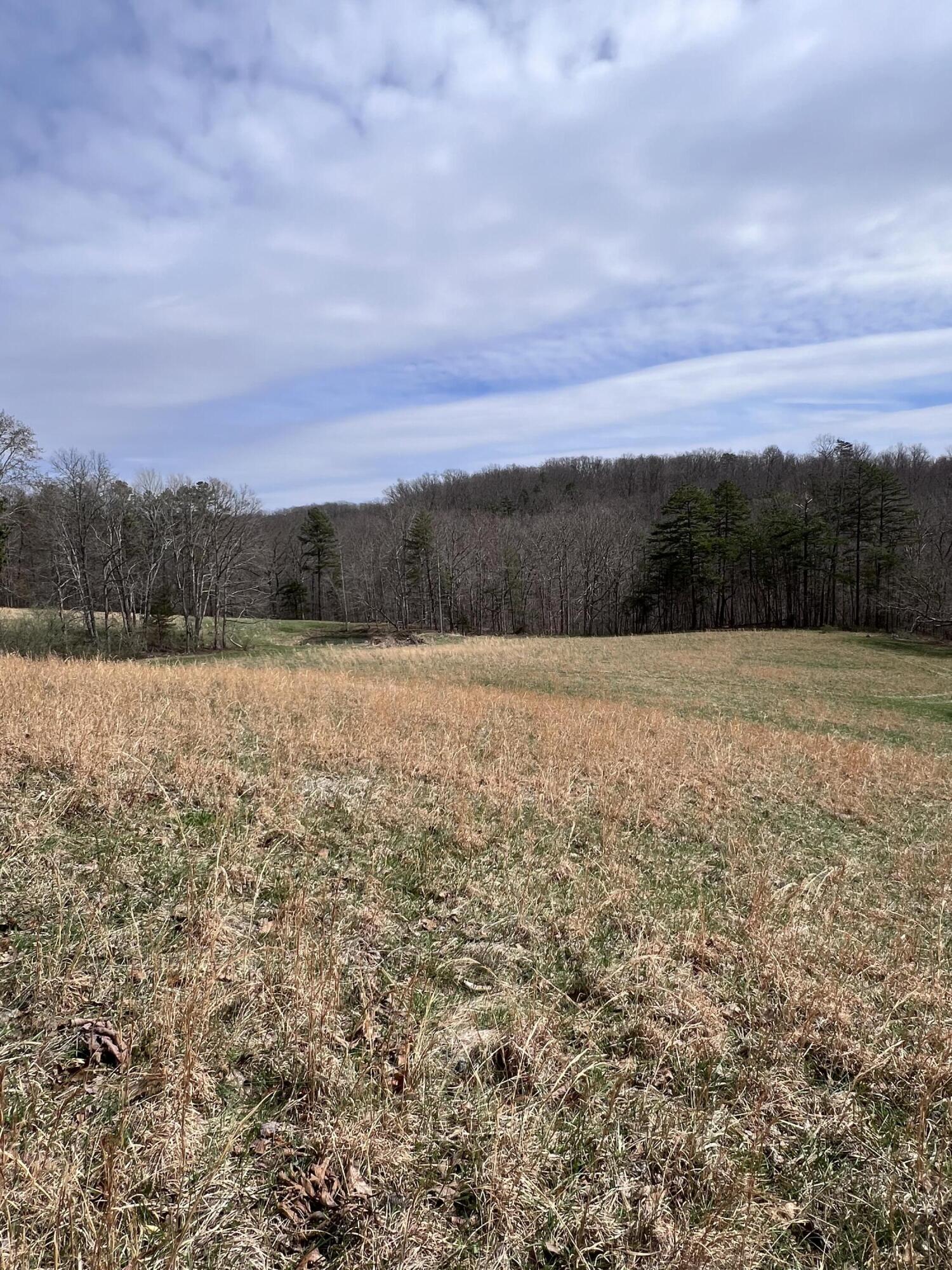 12195 Hwy 587 Property Photo 66