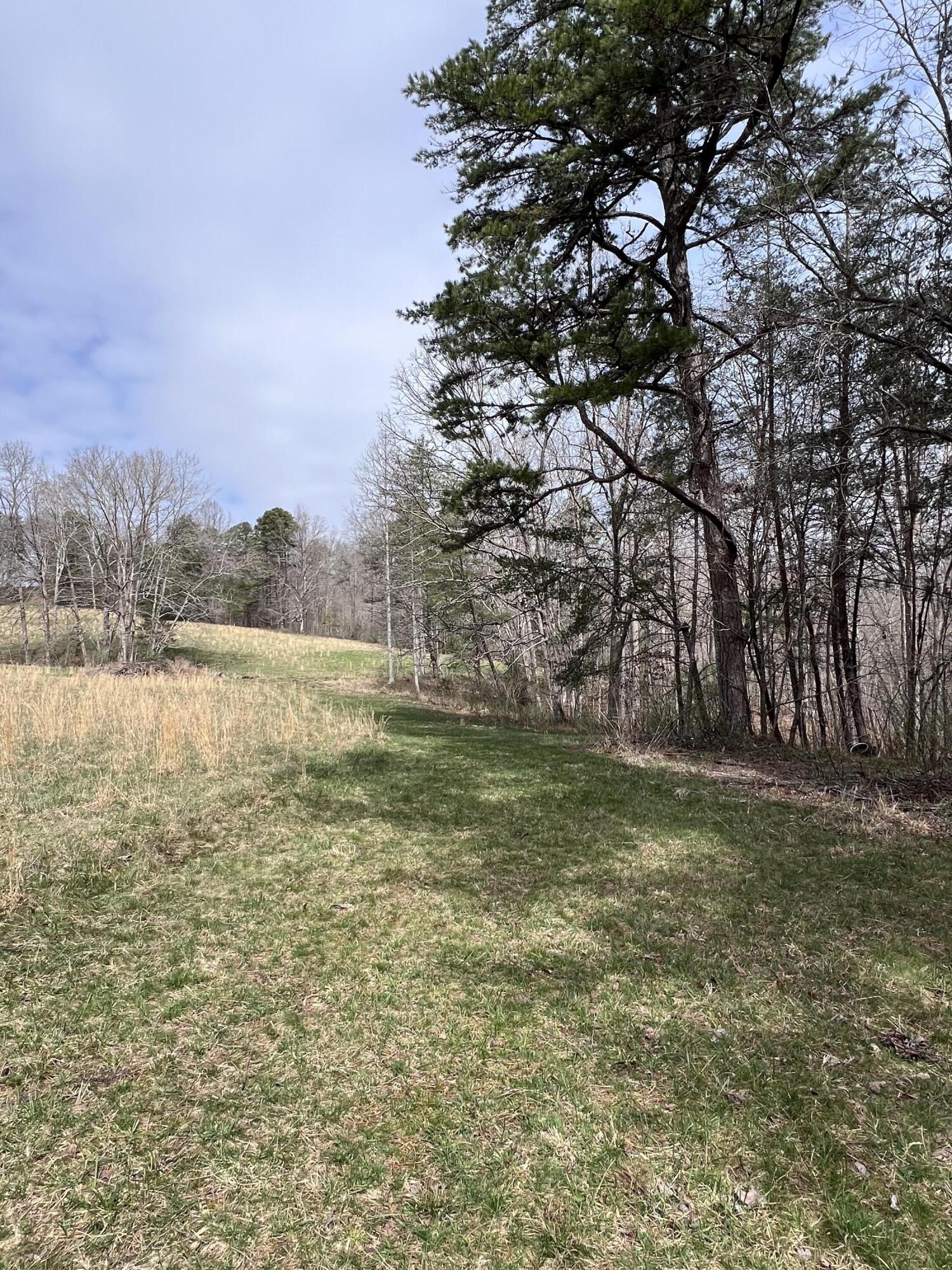 12195 Hwy 587 Property Photo 67