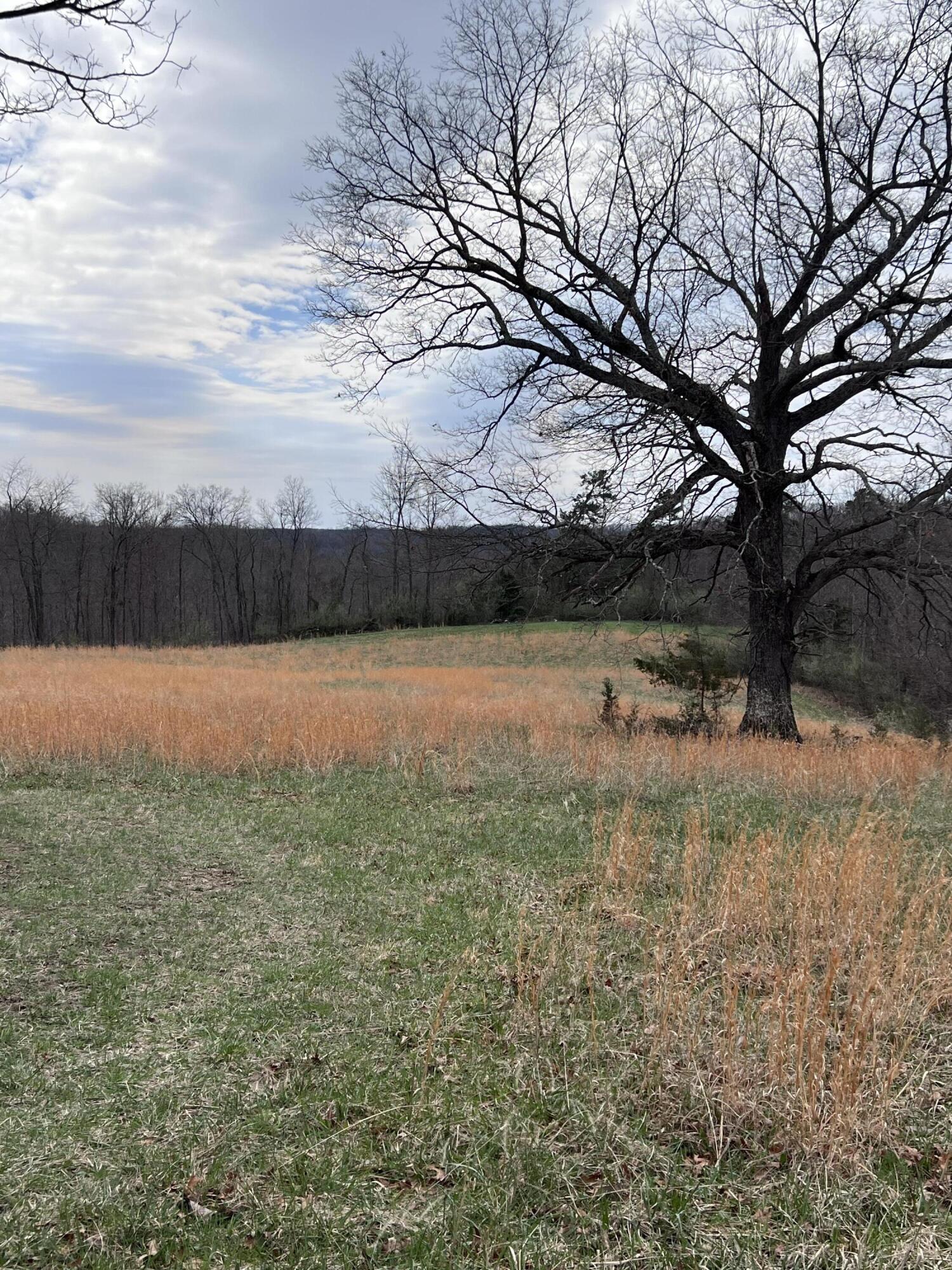 12195 Hwy 587 Property Photo 80