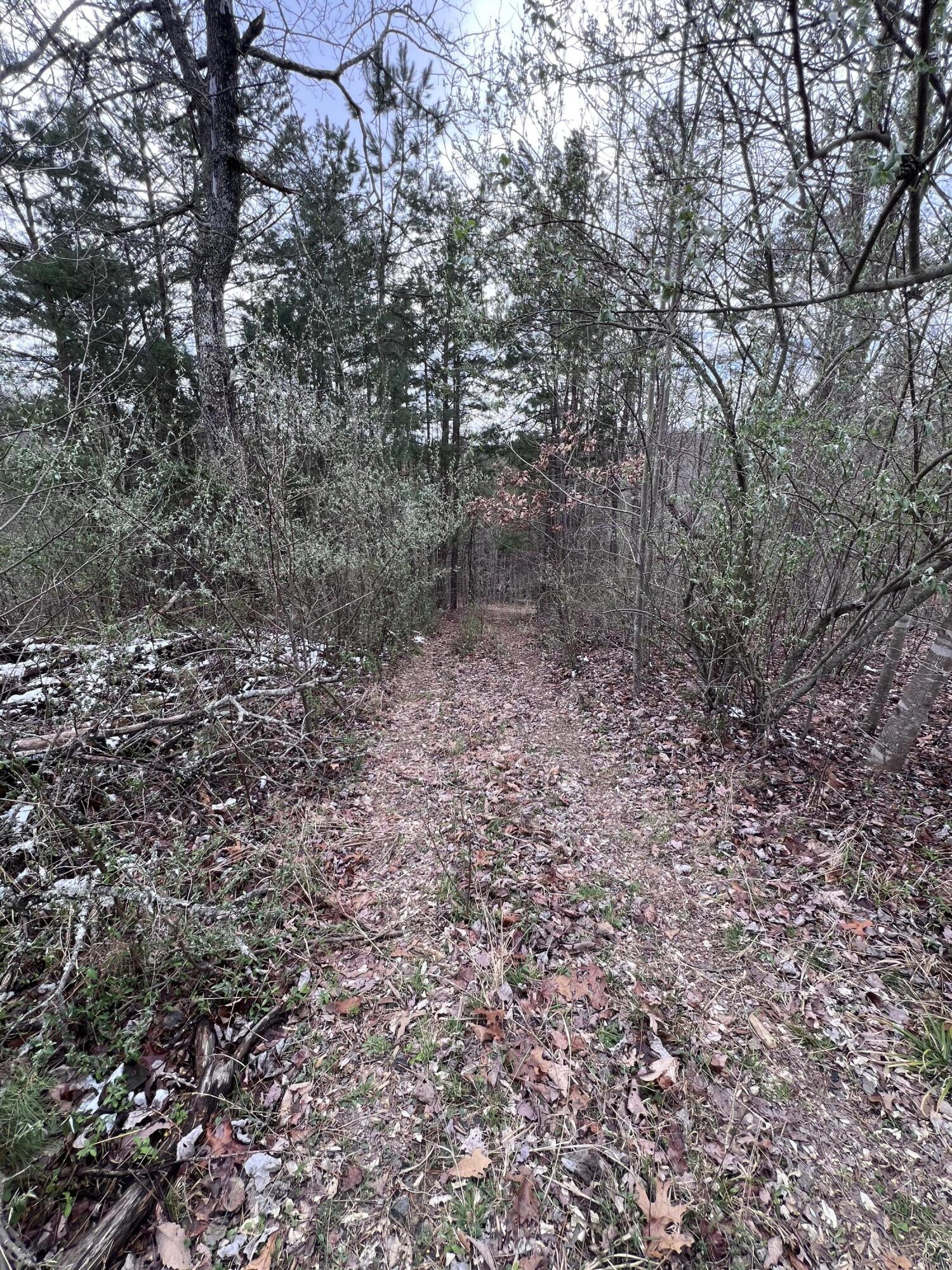 12195 Hwy 587 Property Photo 81