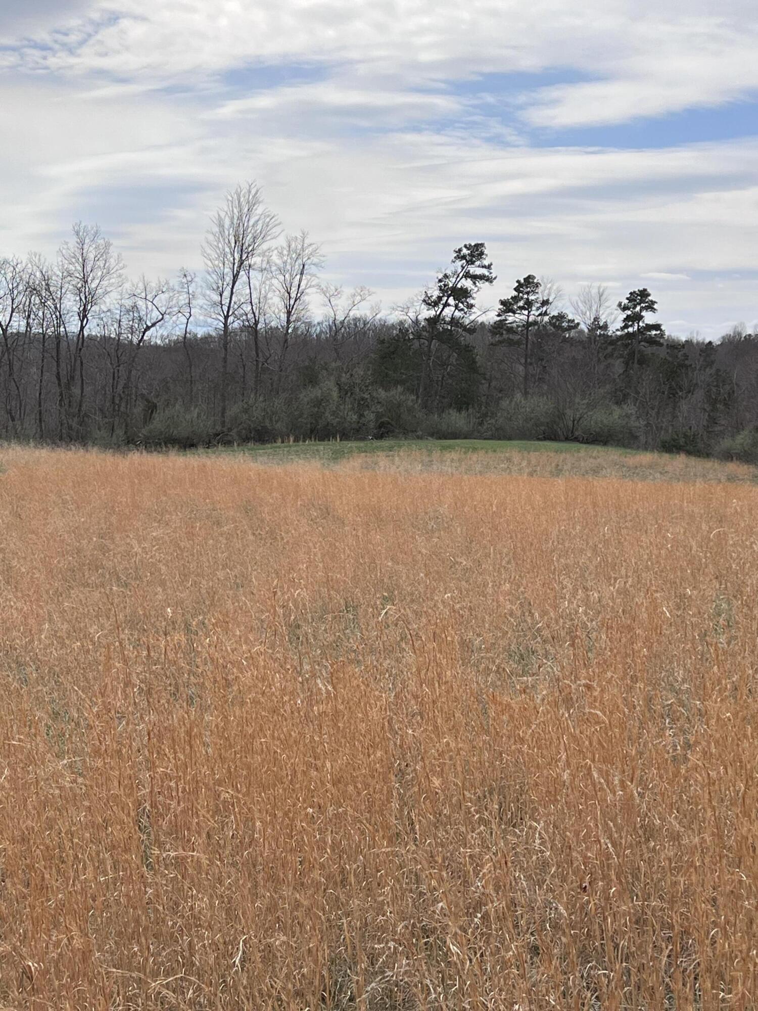 12195 Hwy 587 Property Photo 83