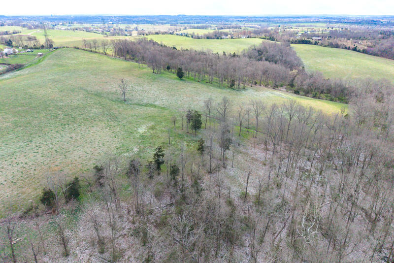 3515 Kennedy Bridge Road Property Photo 7
