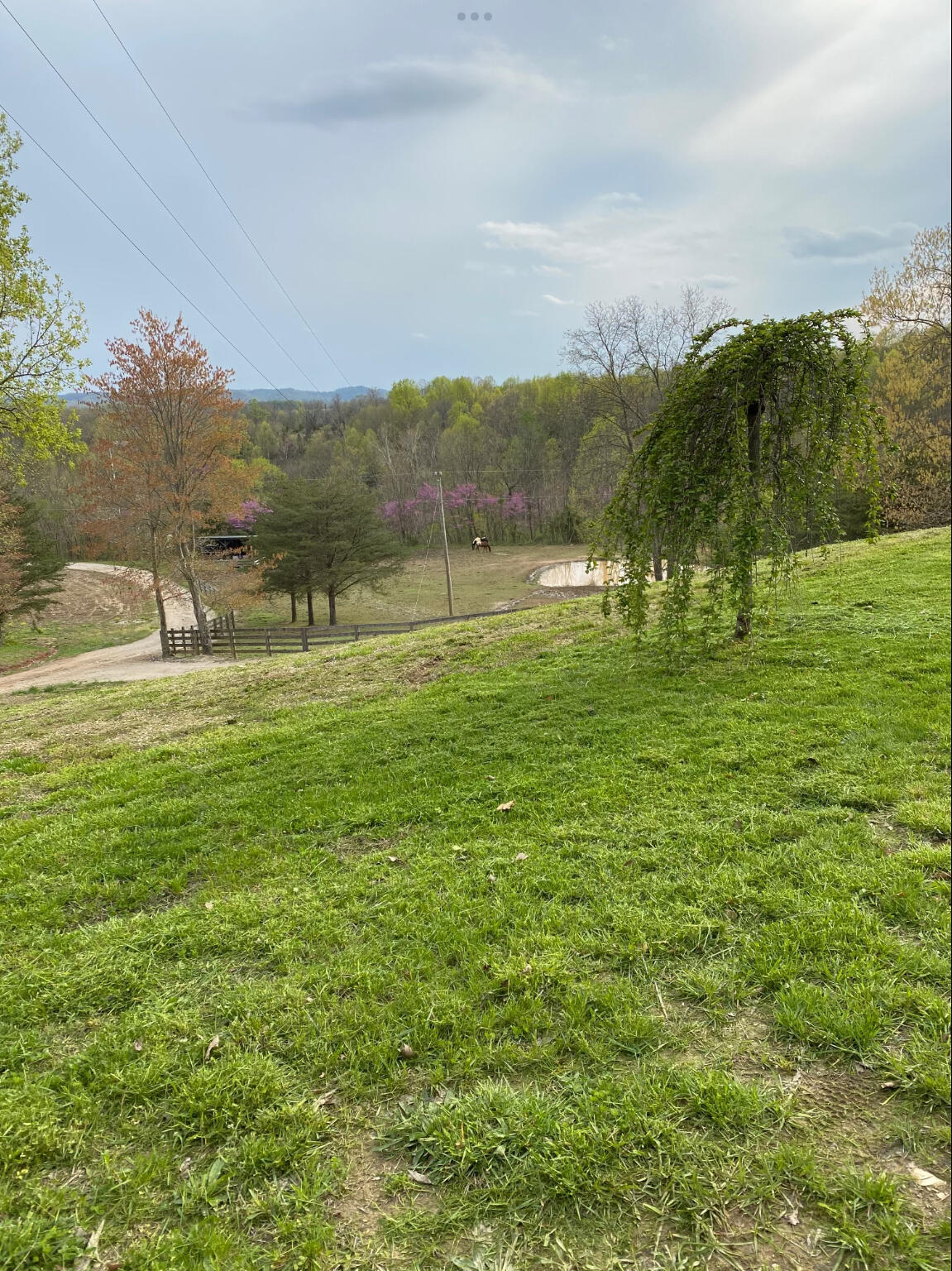422 Kirk Lane Property Photo 53
