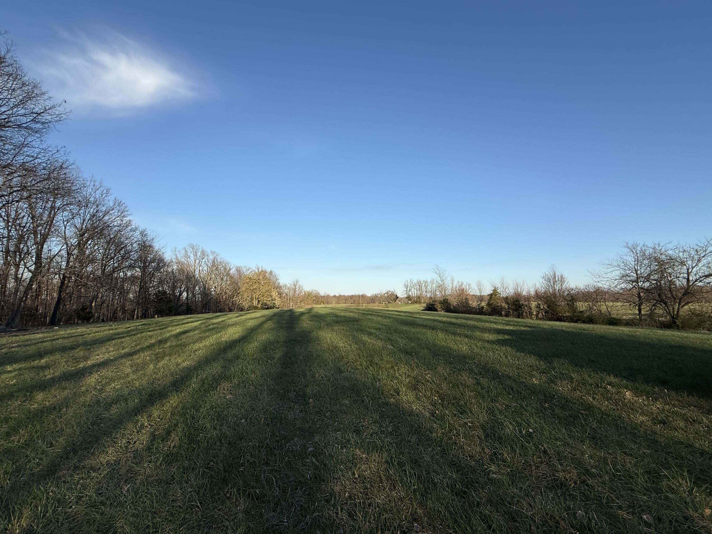 656 Thompson Road Property Photo 29