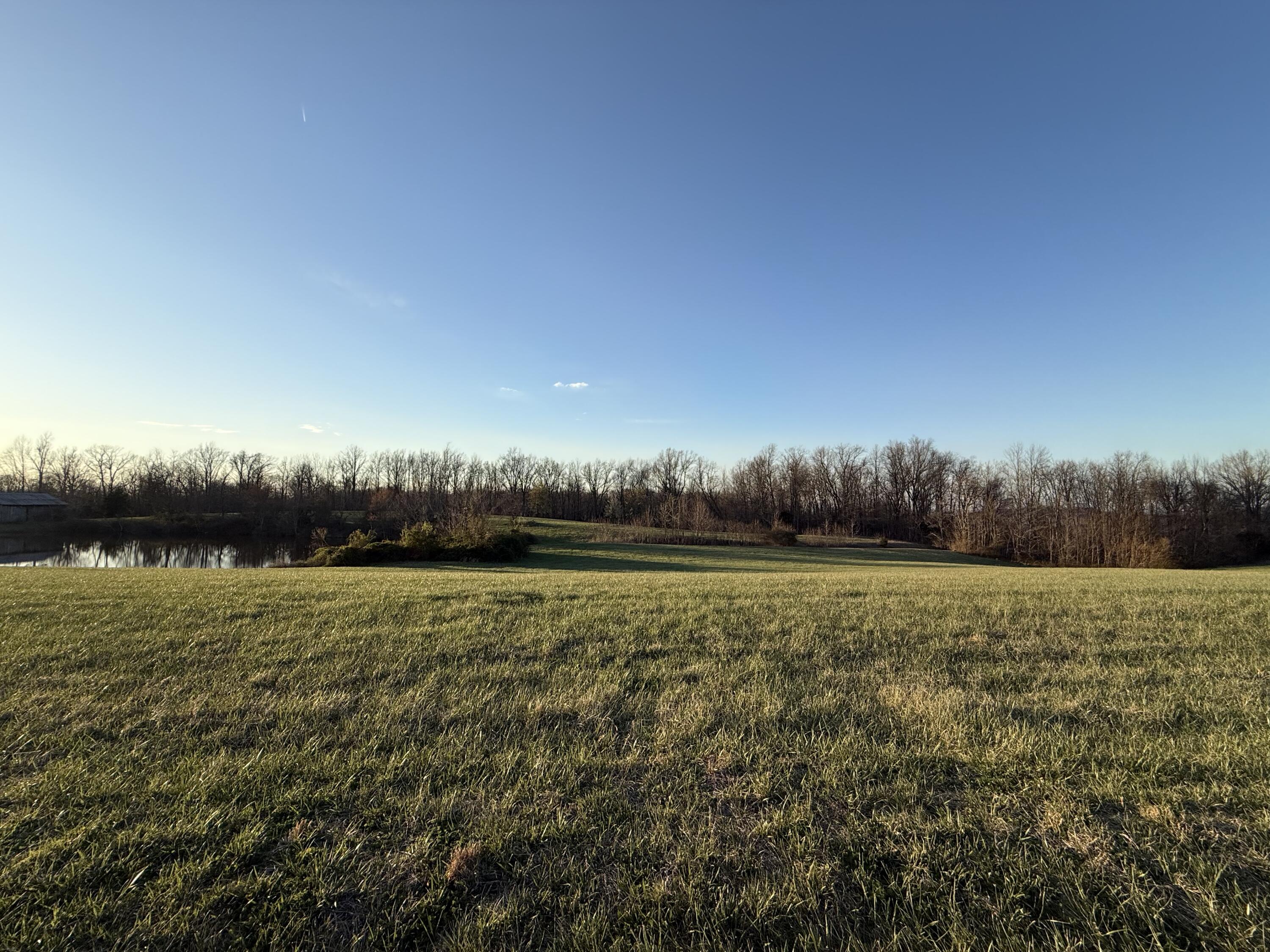 656 Thompson Road Property Photo 31