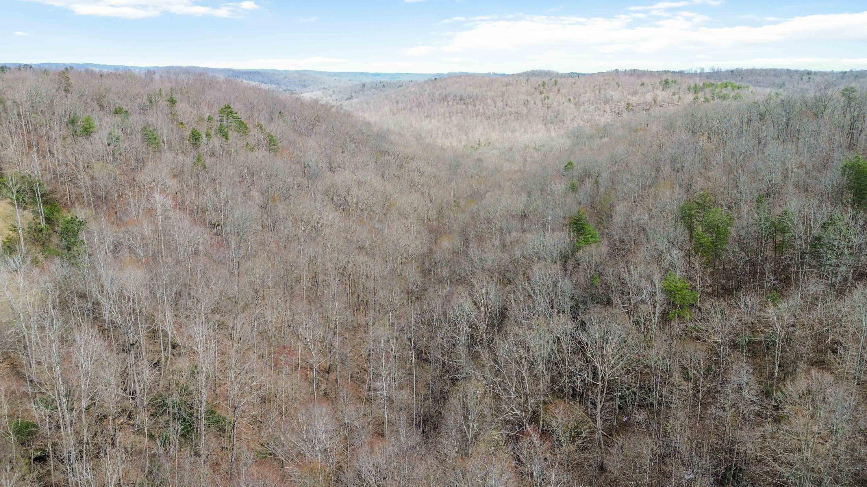 11 Acres Jeru Knob Road Property Photo 11