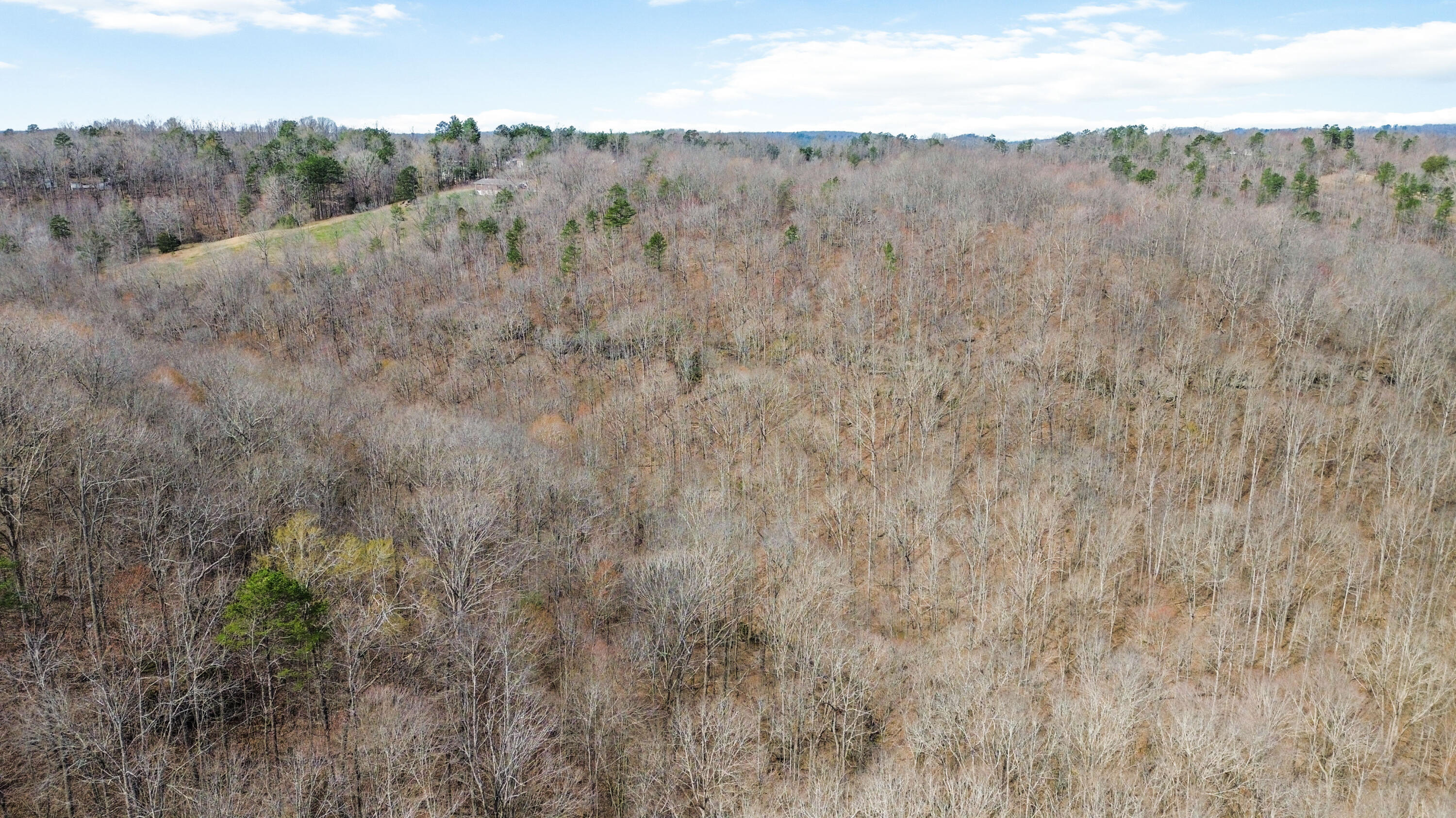 11 Acres Jeru Knob Road Property Photo 12