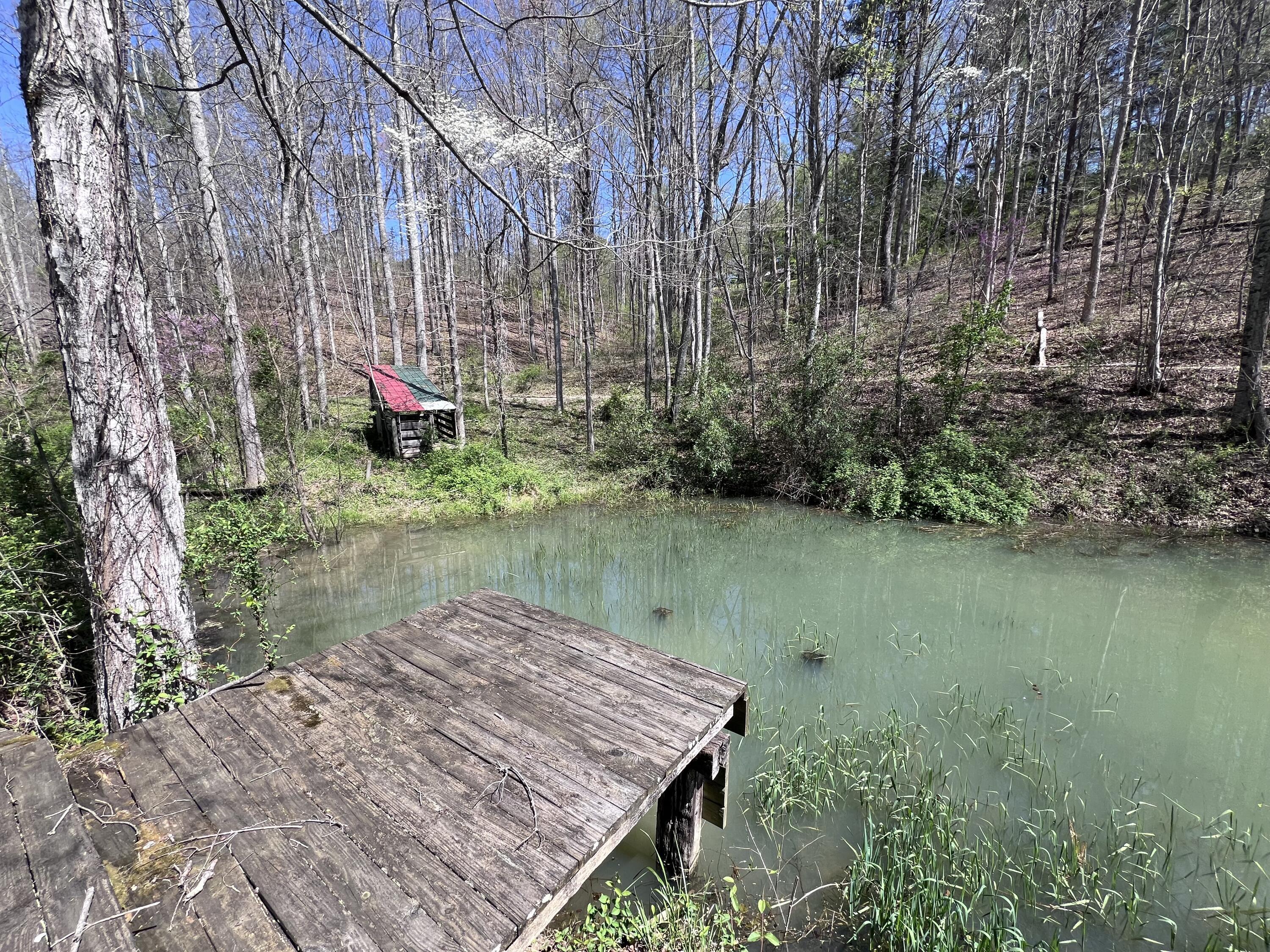 14 Clear Creek Road Property Photo 6
