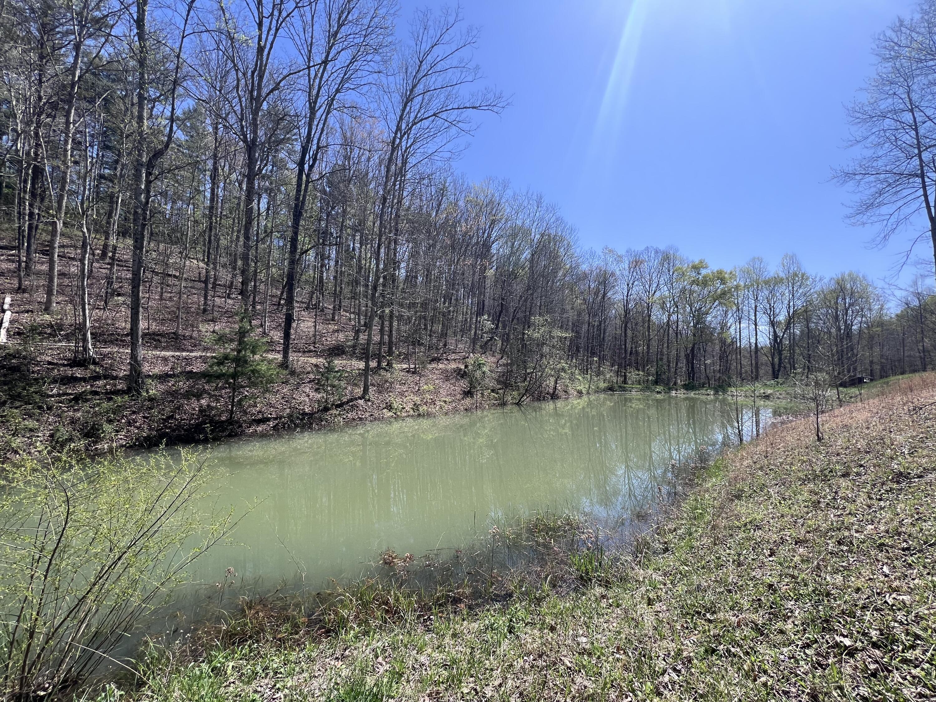 14 Clear Creek Road Property Photo 8