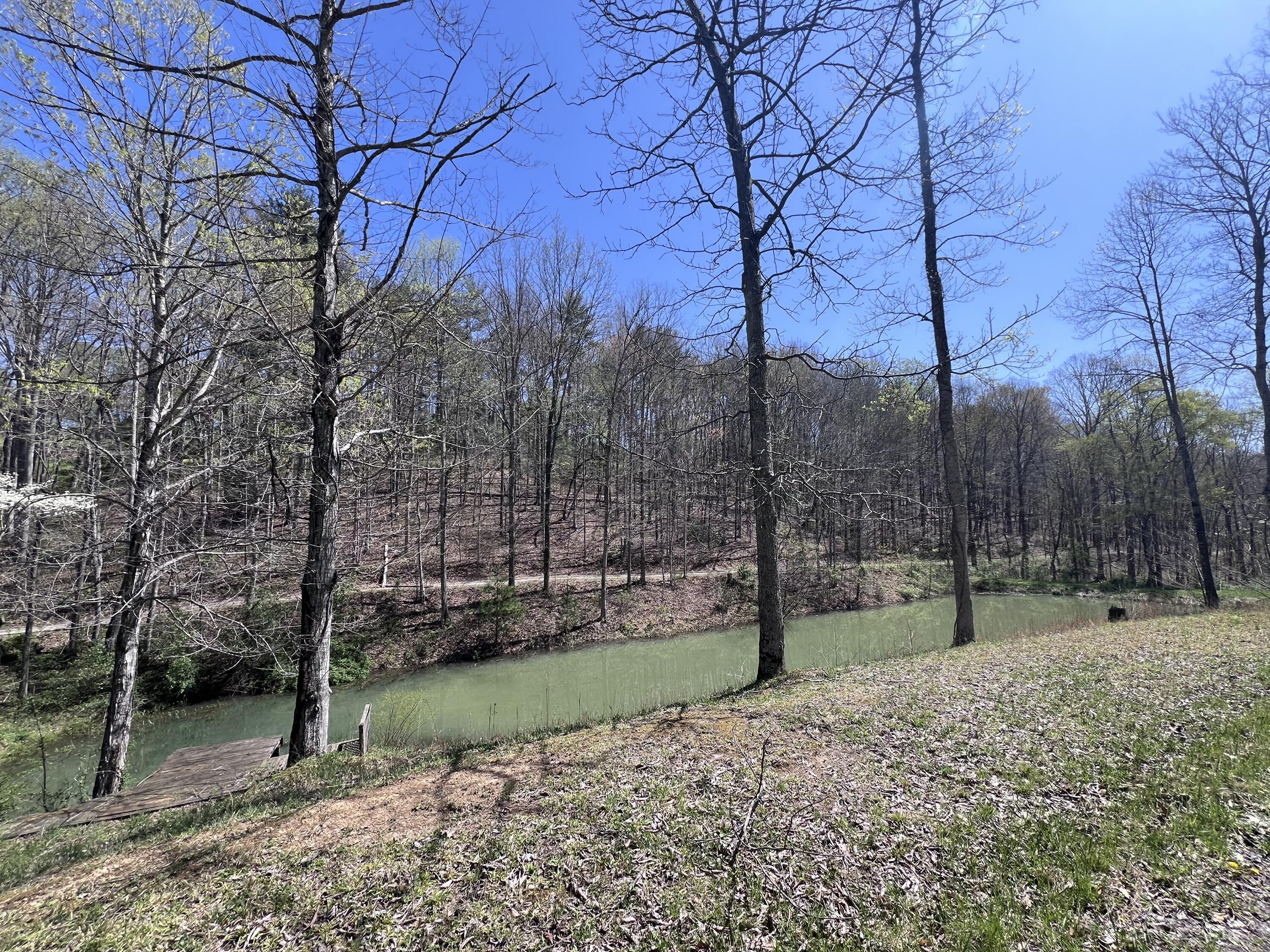 14 Clear Creek Road Property Photo 10