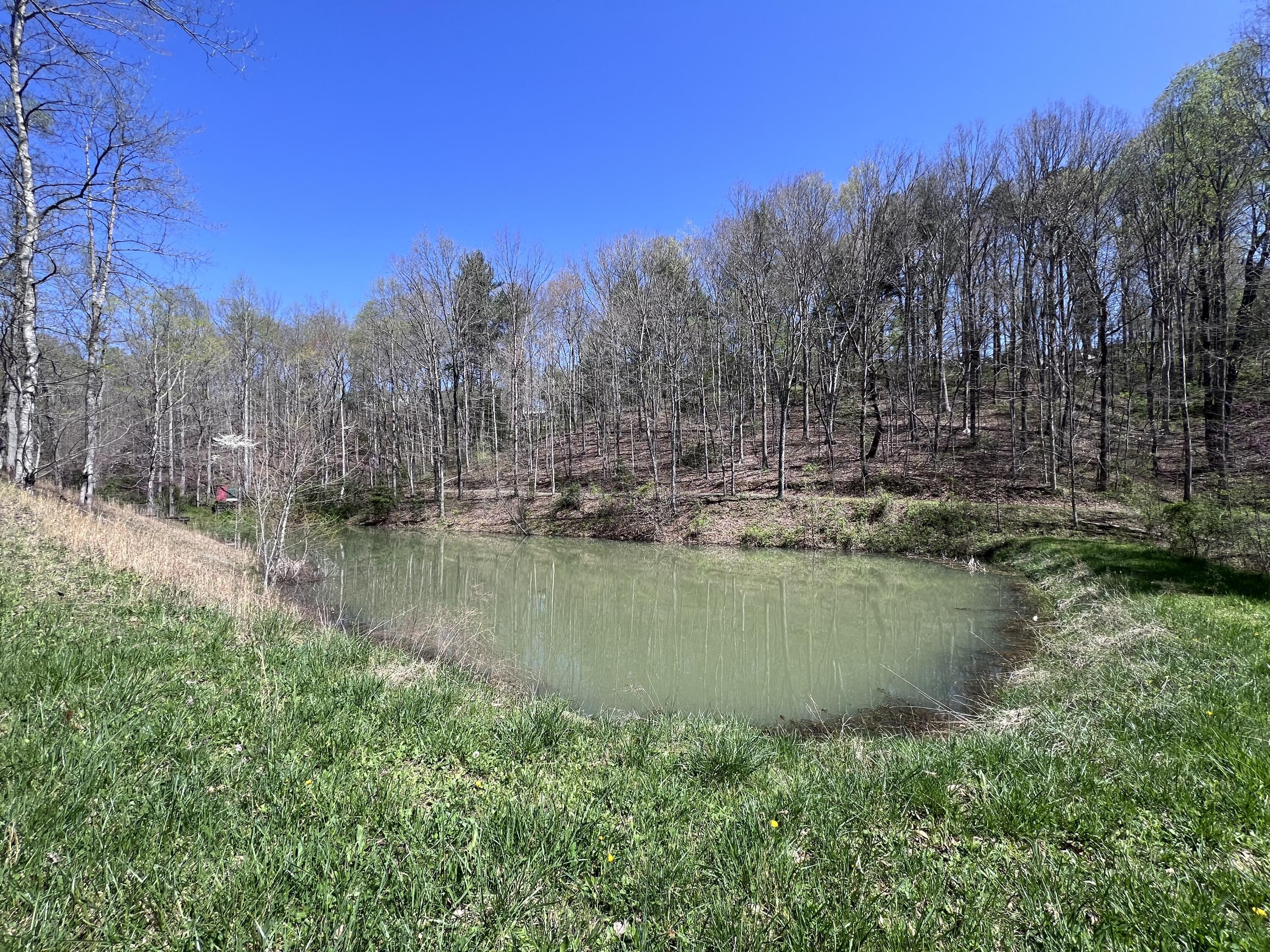 14 Clear Creek Road Property Photo 11