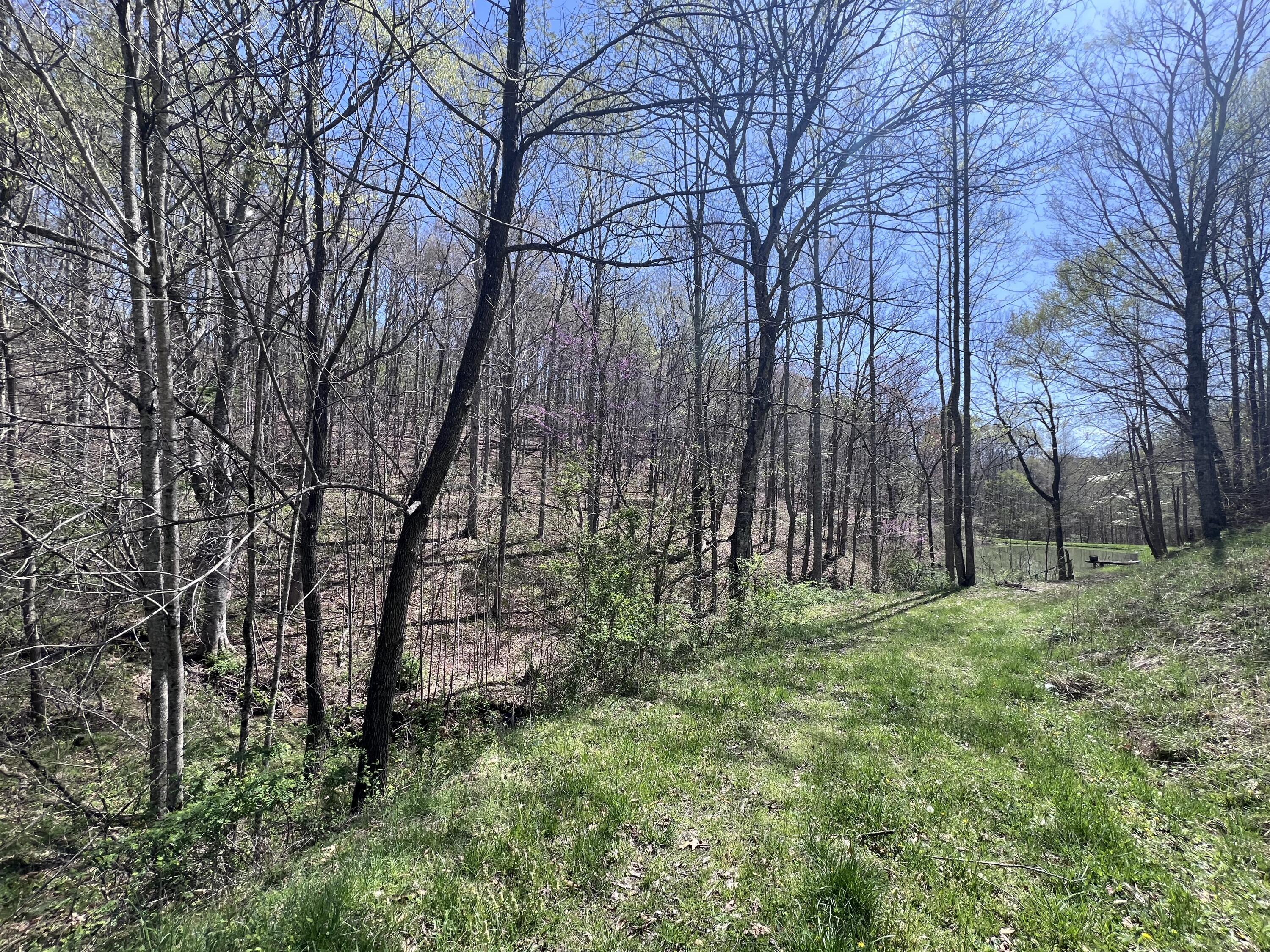 14 Clear Creek Road Property Photo 12