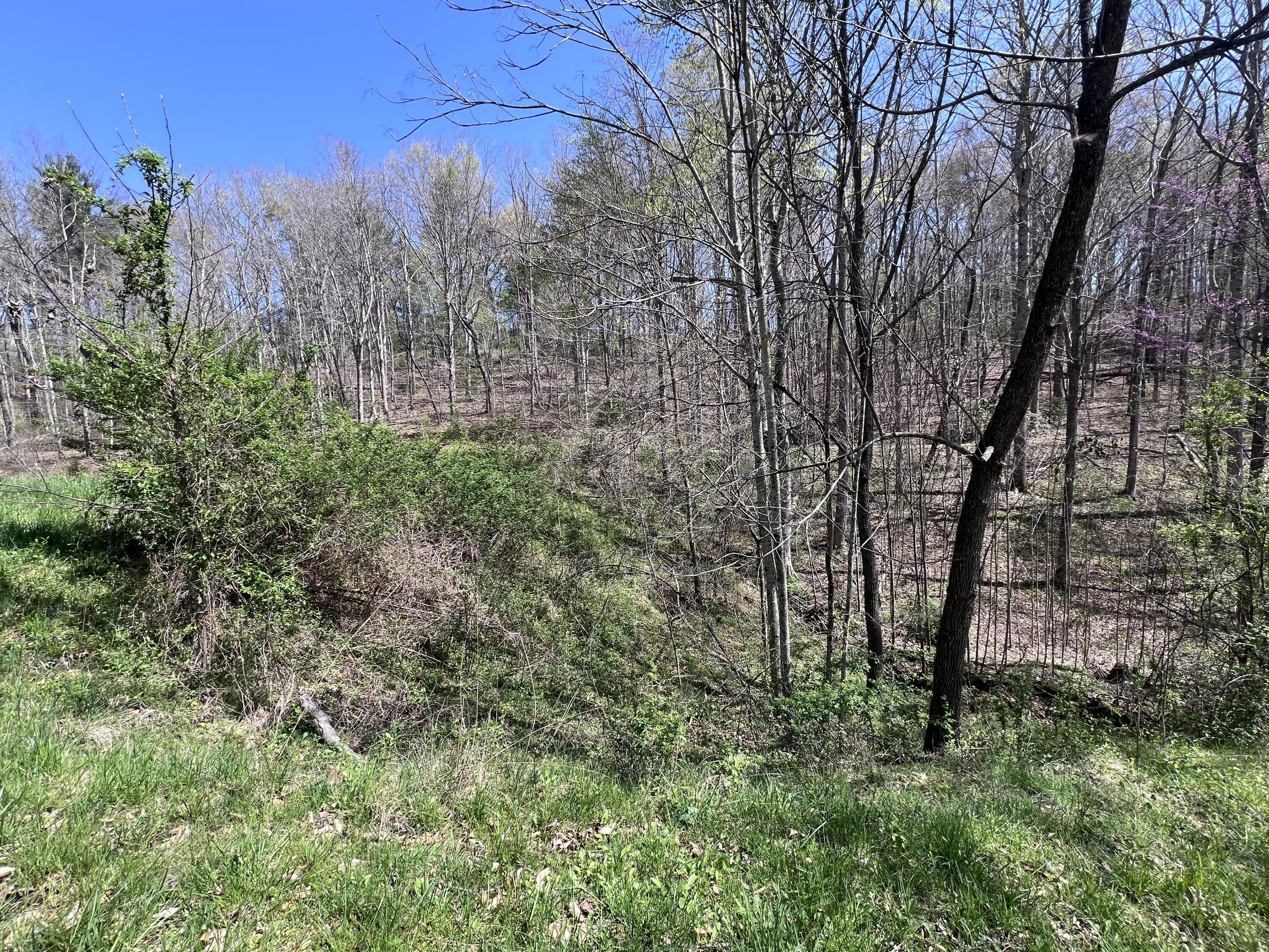 14 Clear Creek Road Property Photo 13