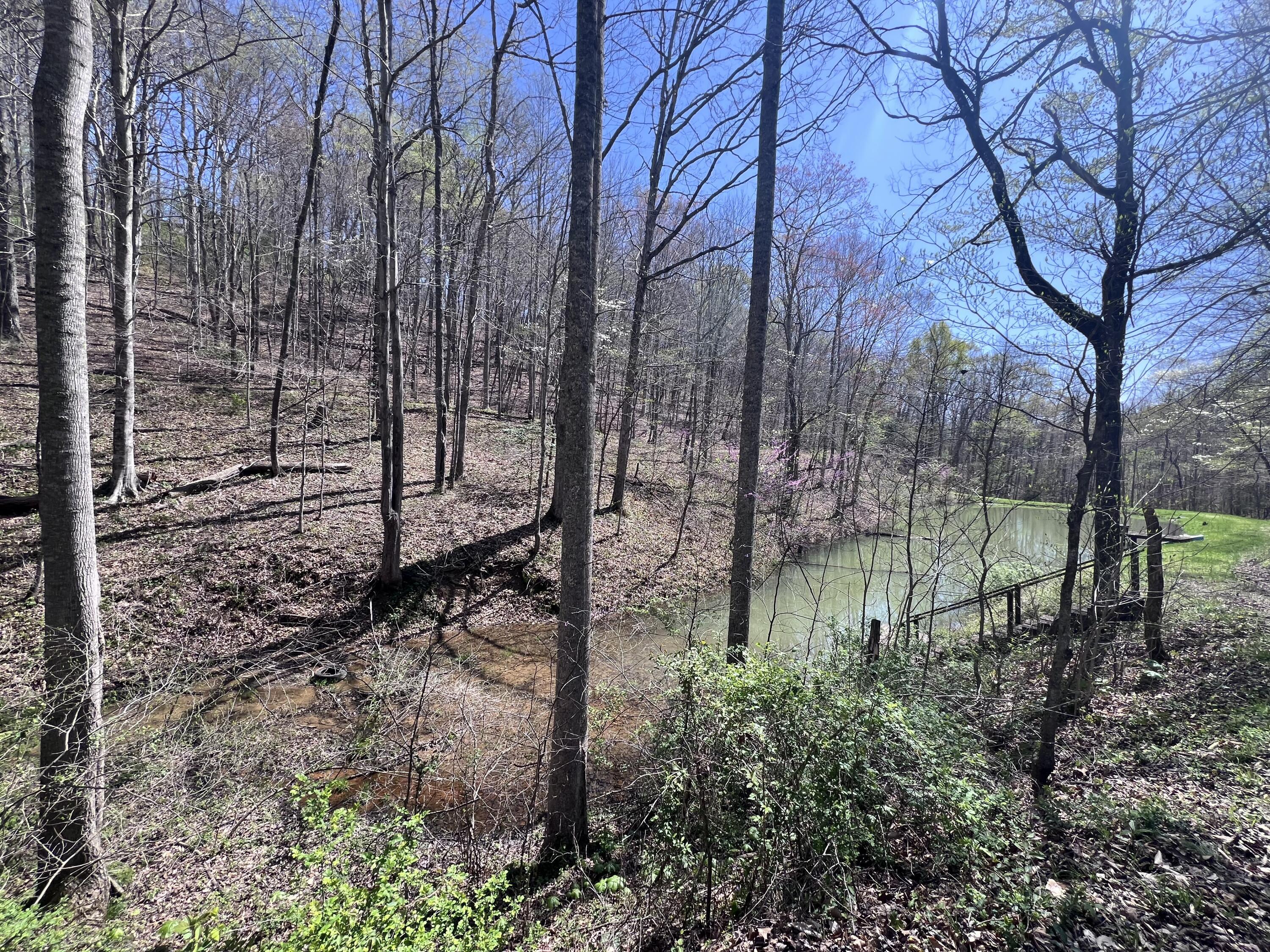 14 Clear Creek Road Property Photo 15