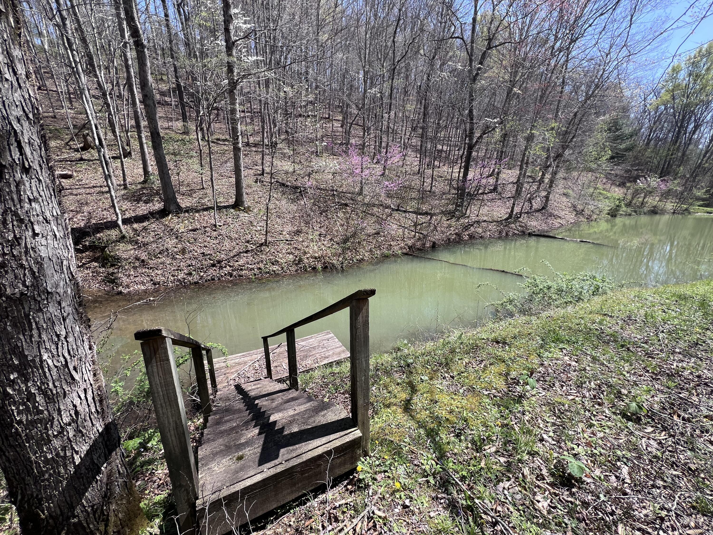14 Clear Creek Road Property Photo 17