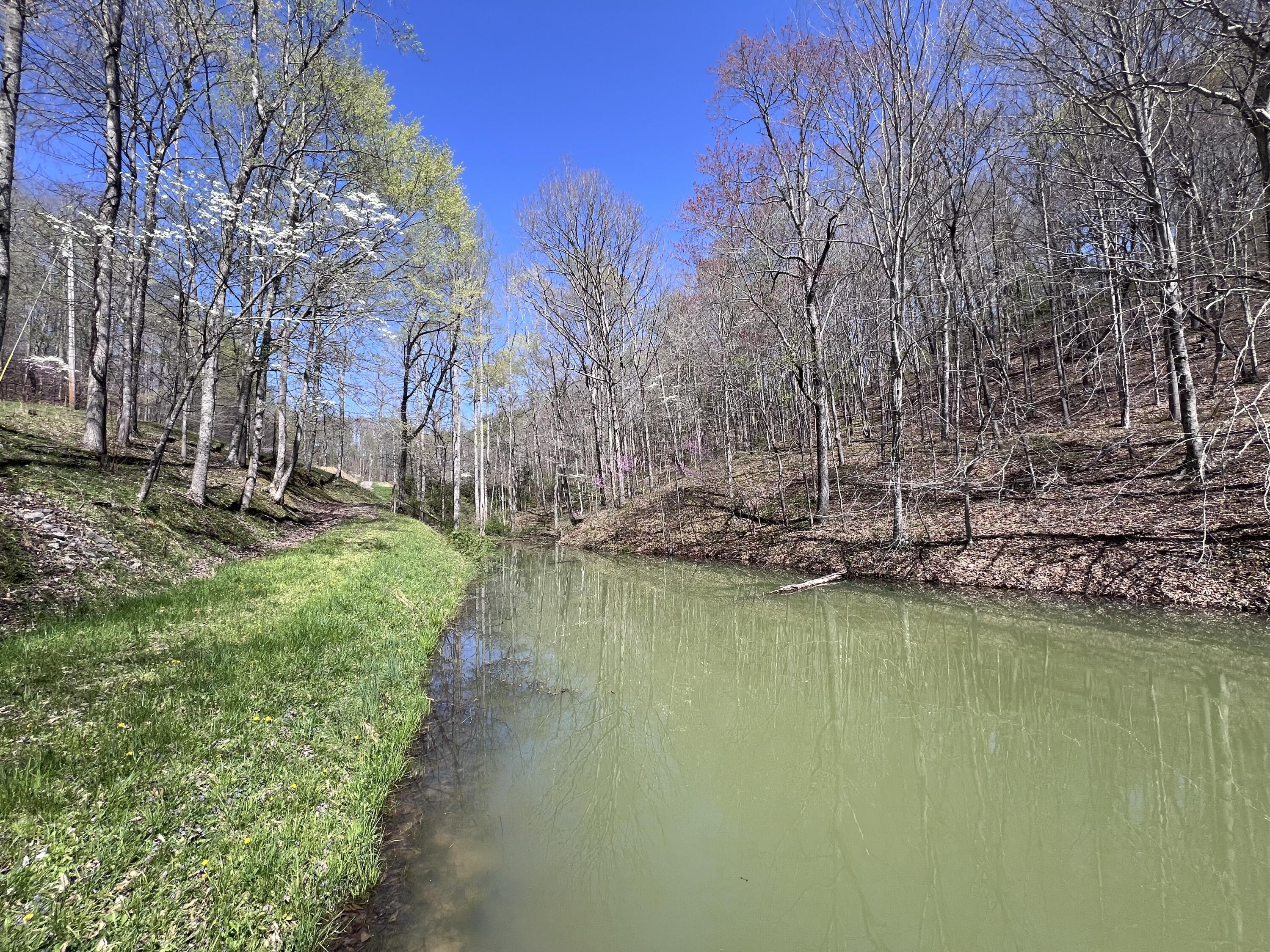 14 Clear Creek Road Property Photo 21