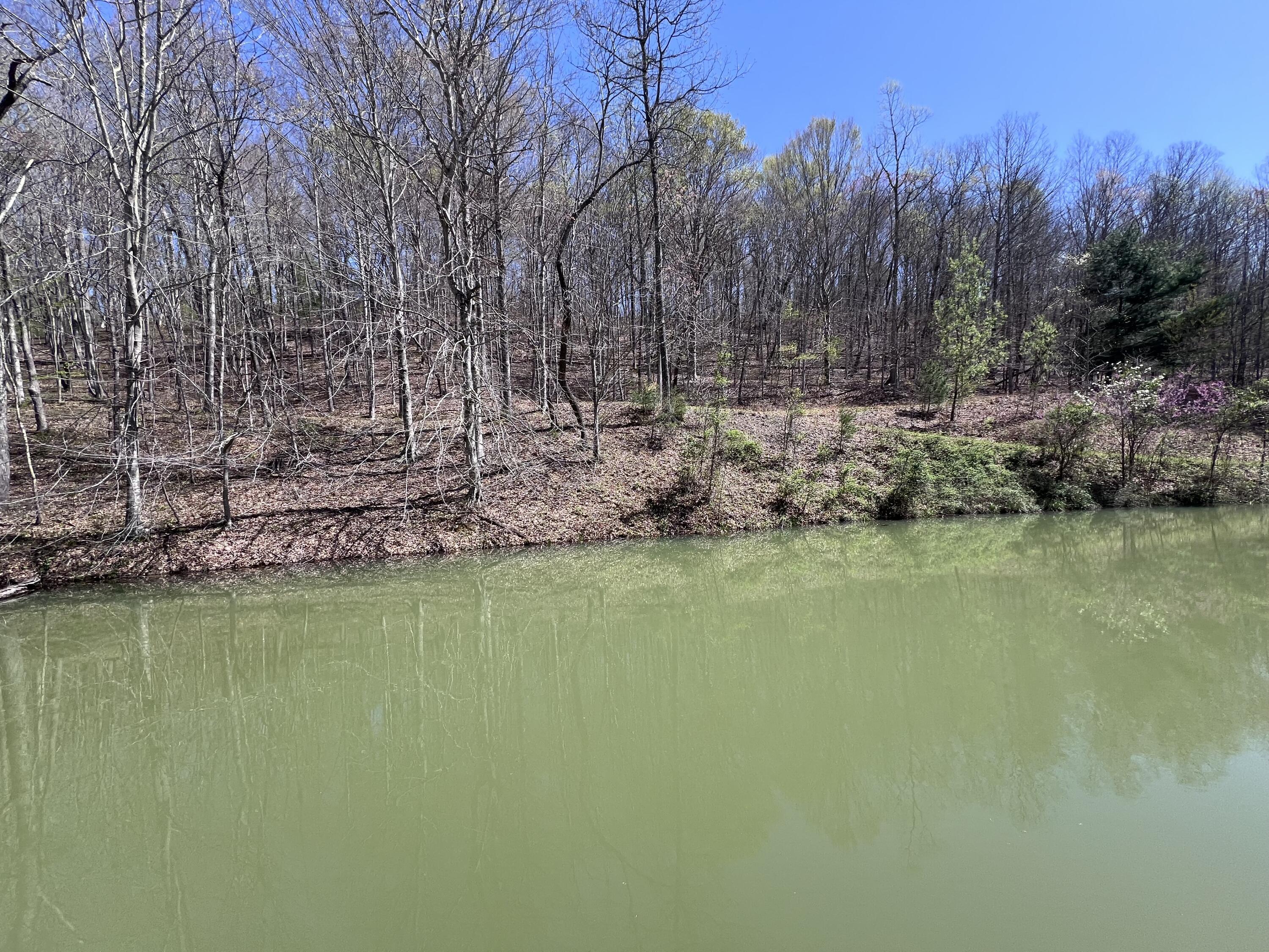 14 Clear Creek Road Property Photo 22