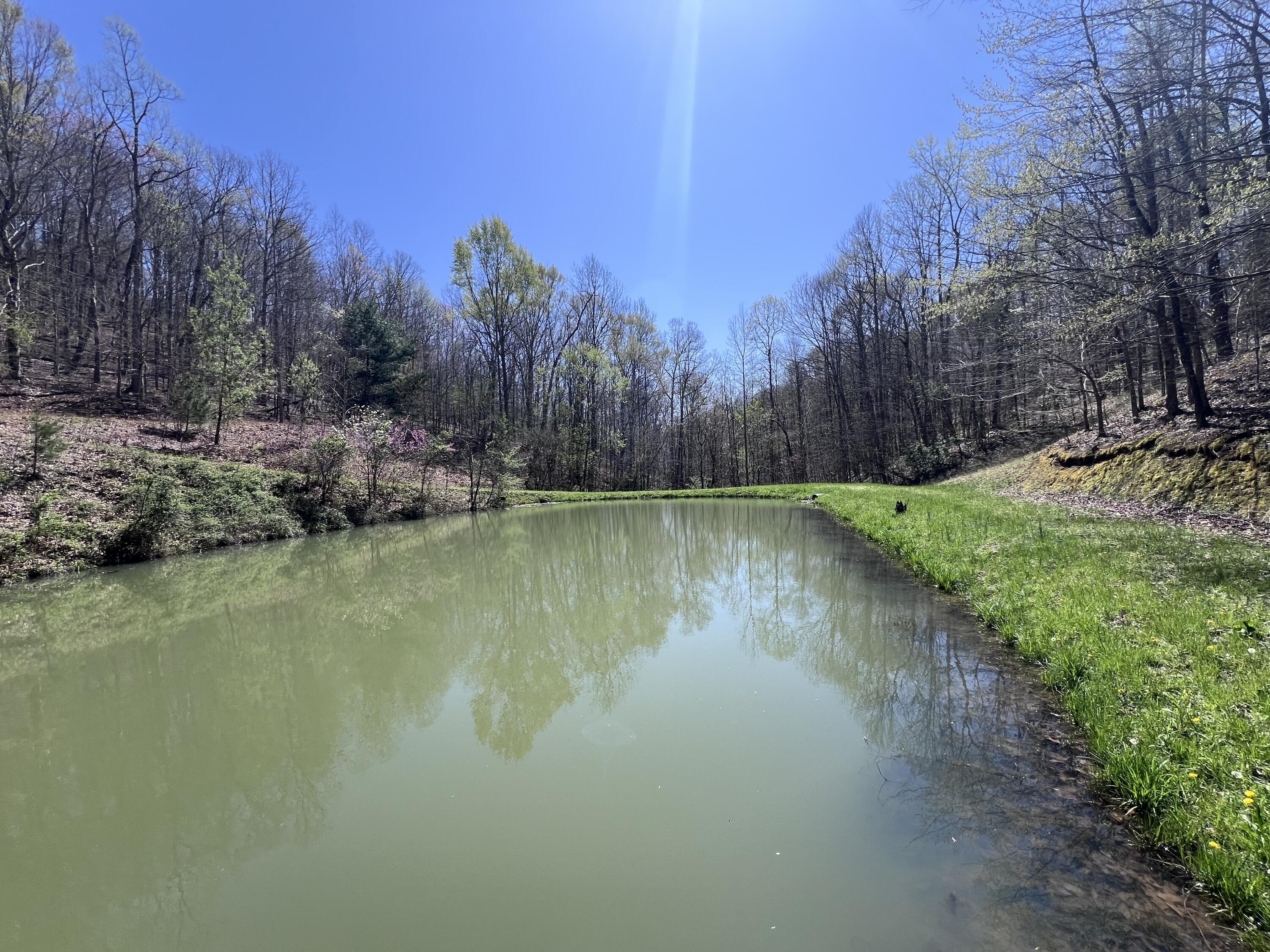 14 Clear Creek Road Property Photo 23