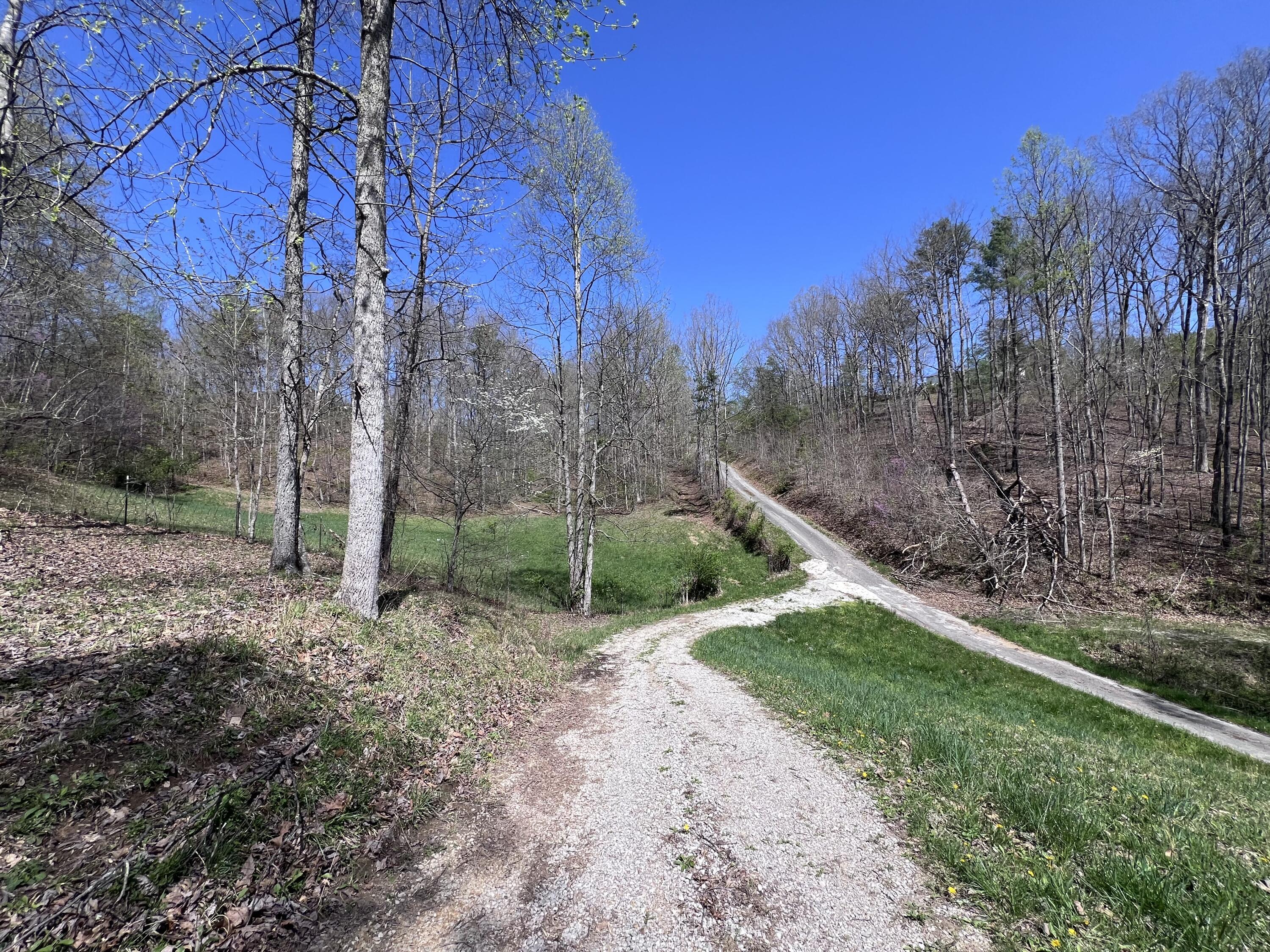 14 Clear Creek Road Property Photo 25