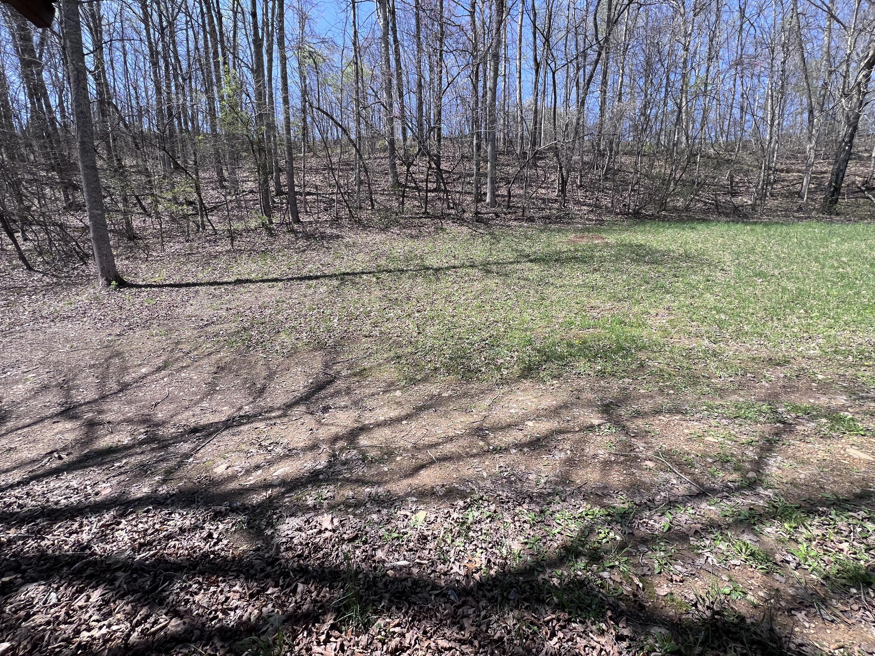 14 Clear Creek Road Property Photo 28