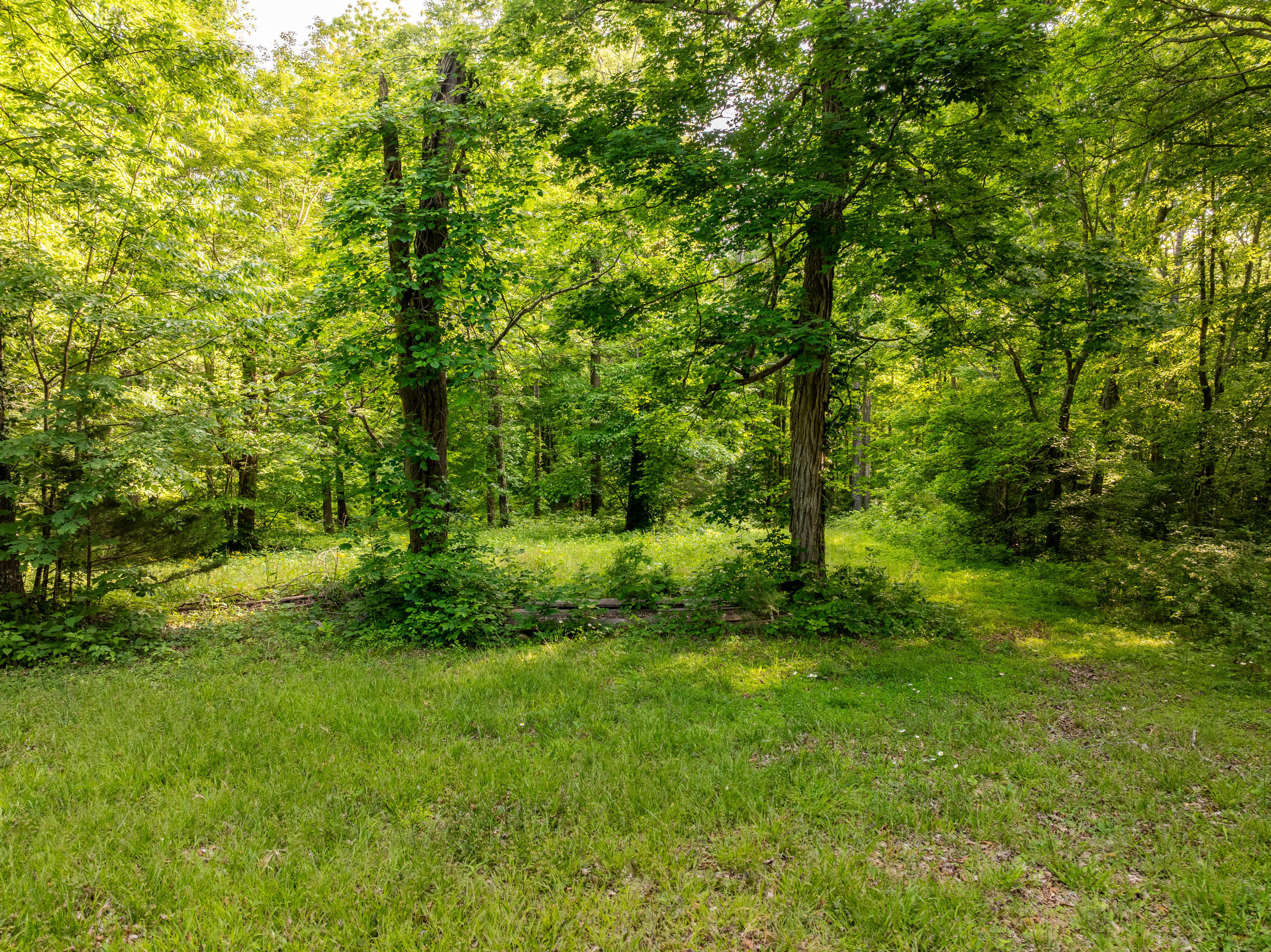 815 Jr Phipps Road Property Photo 10