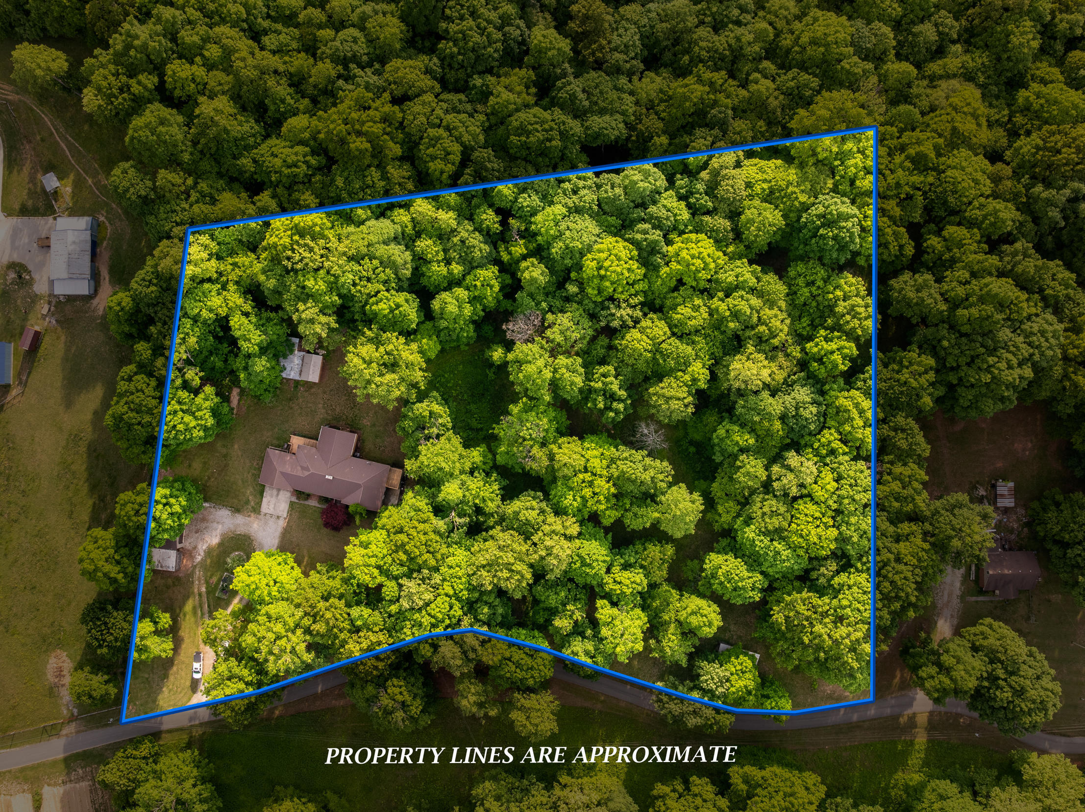 815 Jr Phipps Road Property Photo 69