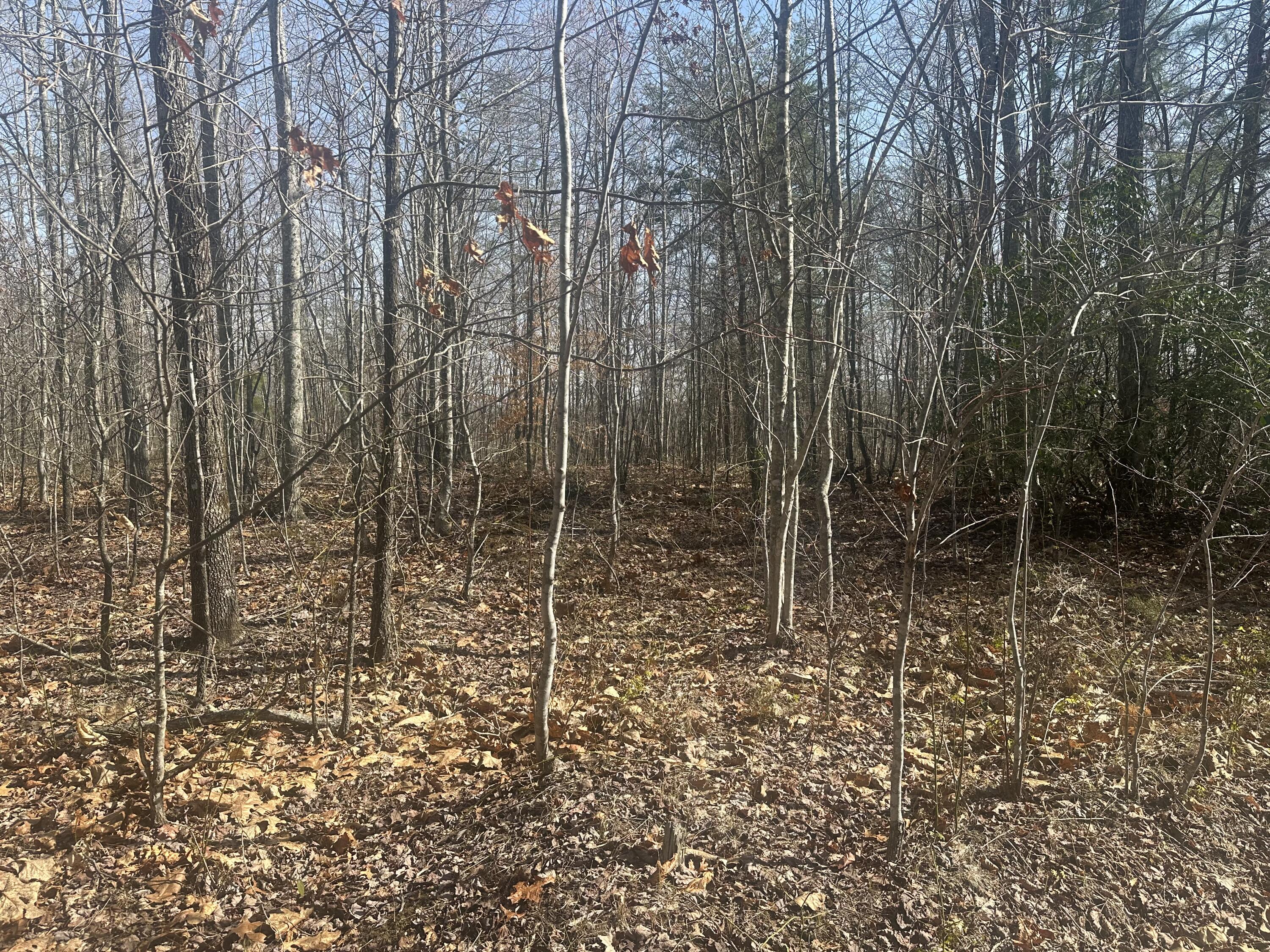 10 Ac Old Beaty Pvt Road Property Photo 1
