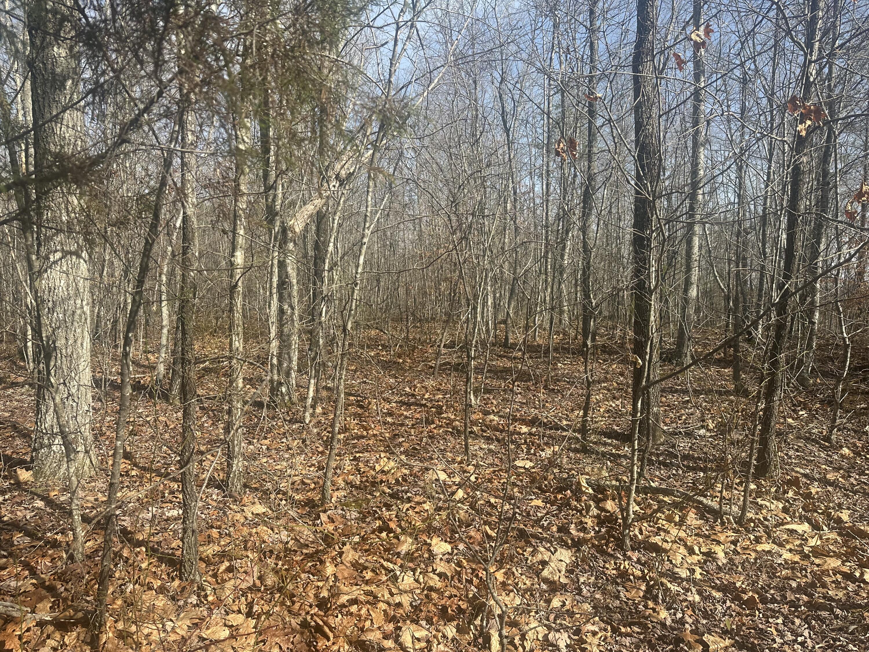 10 Ac Old Beaty Pvt Road Property Photo 2