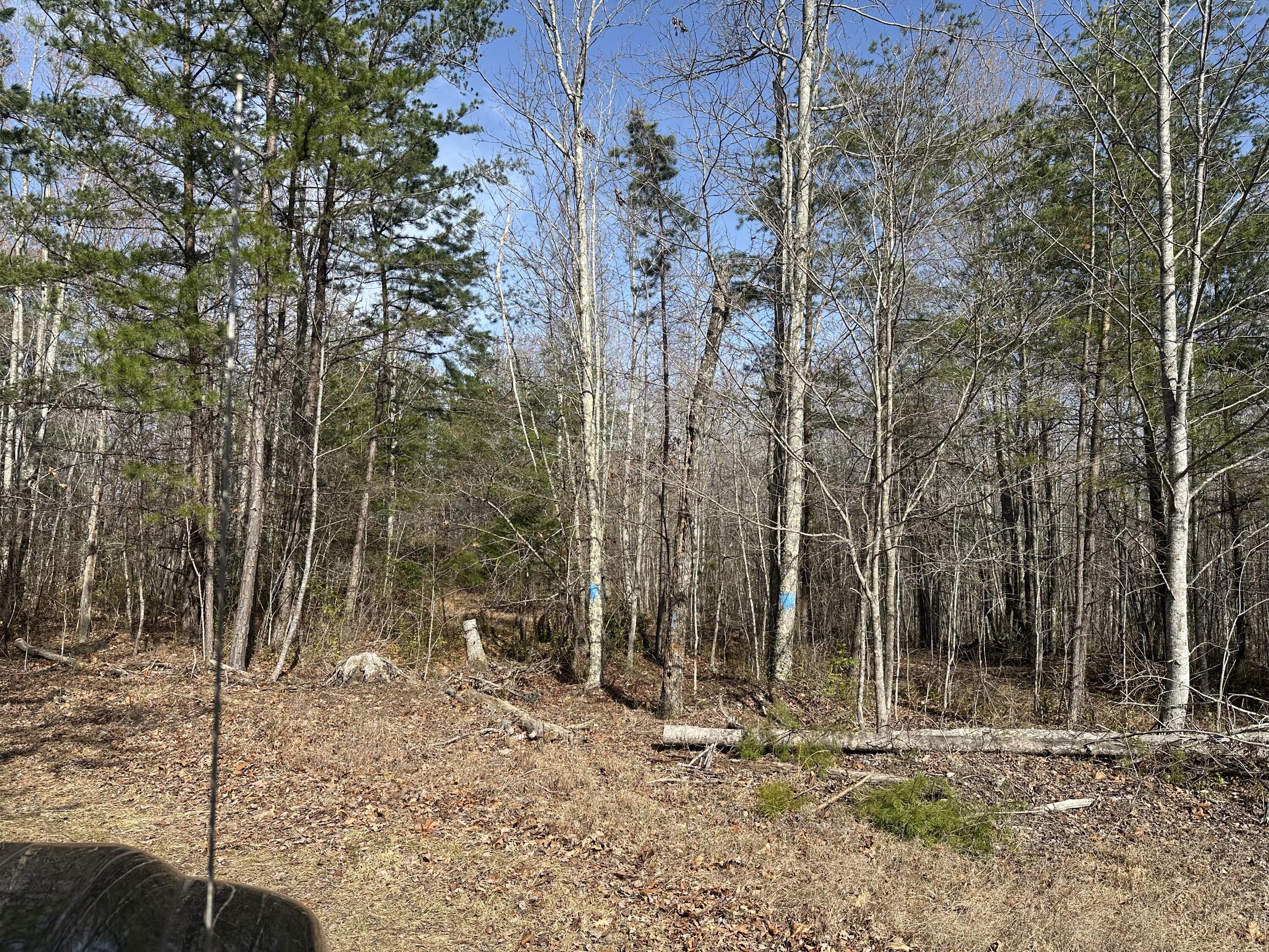 10 Ac Old Beaty Pvt Road Property Photo 4