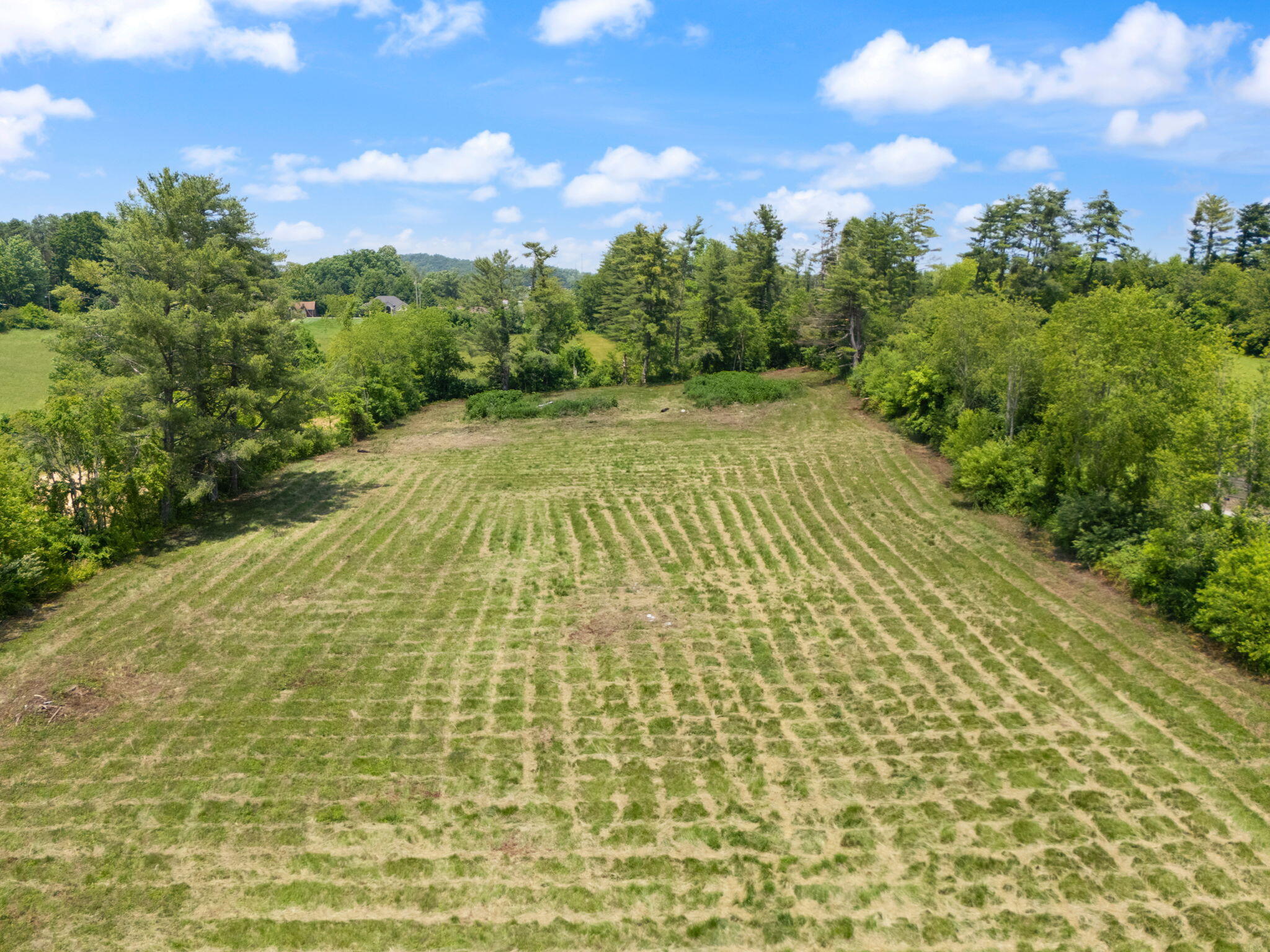 386 B Boggs Road Property Photo 37