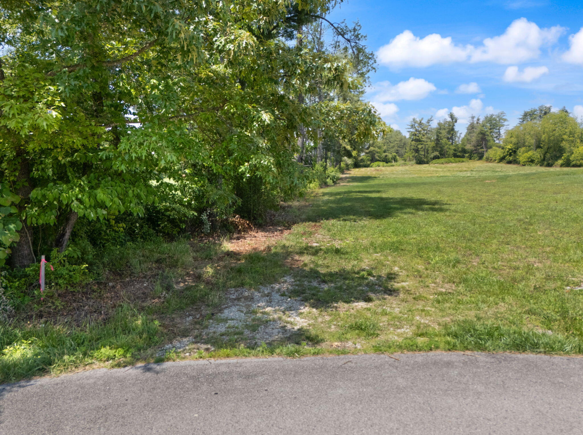 386 B Boggs Road Property Photo 45