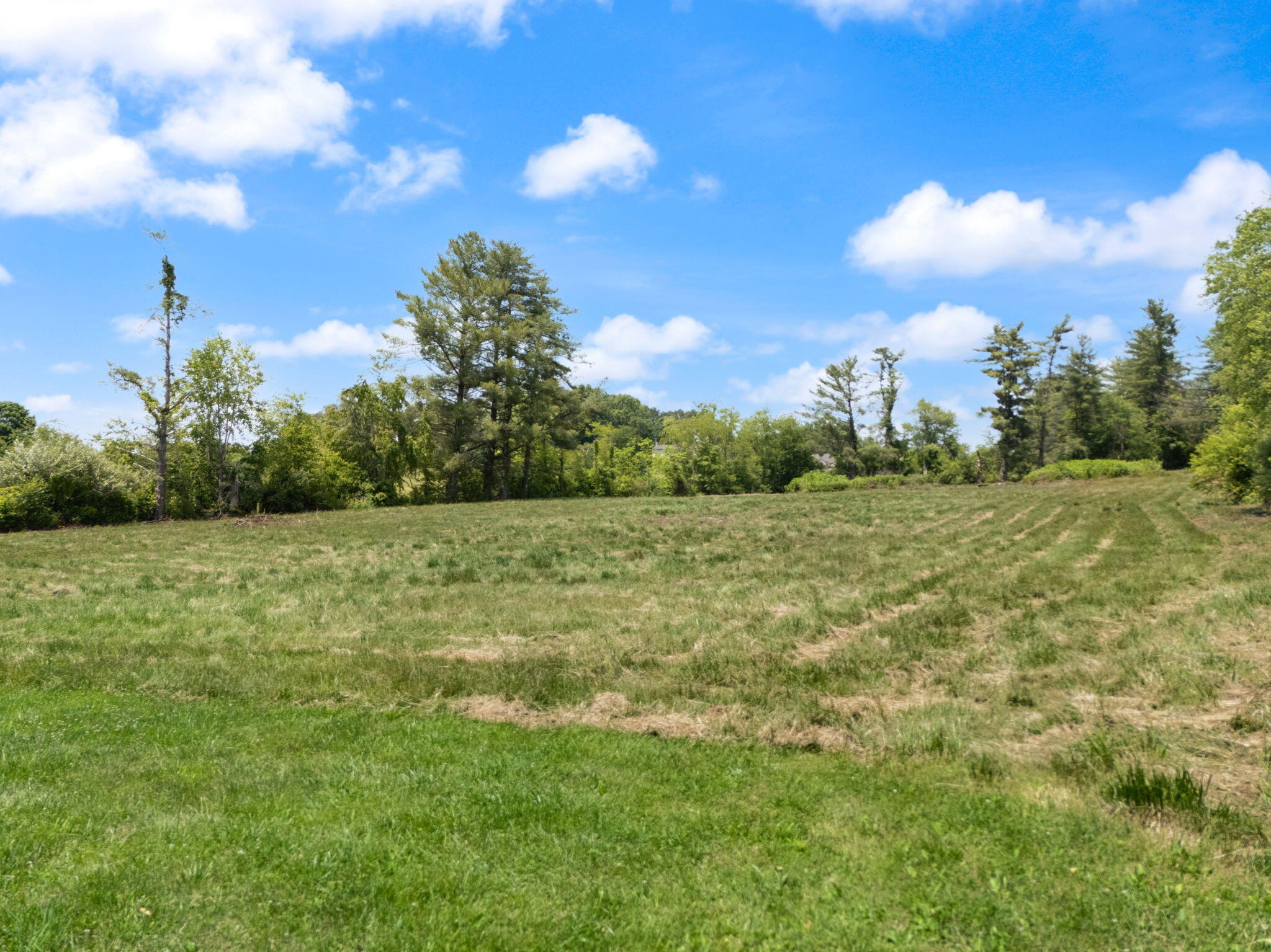 386 B Boggs Road Property Photo 47